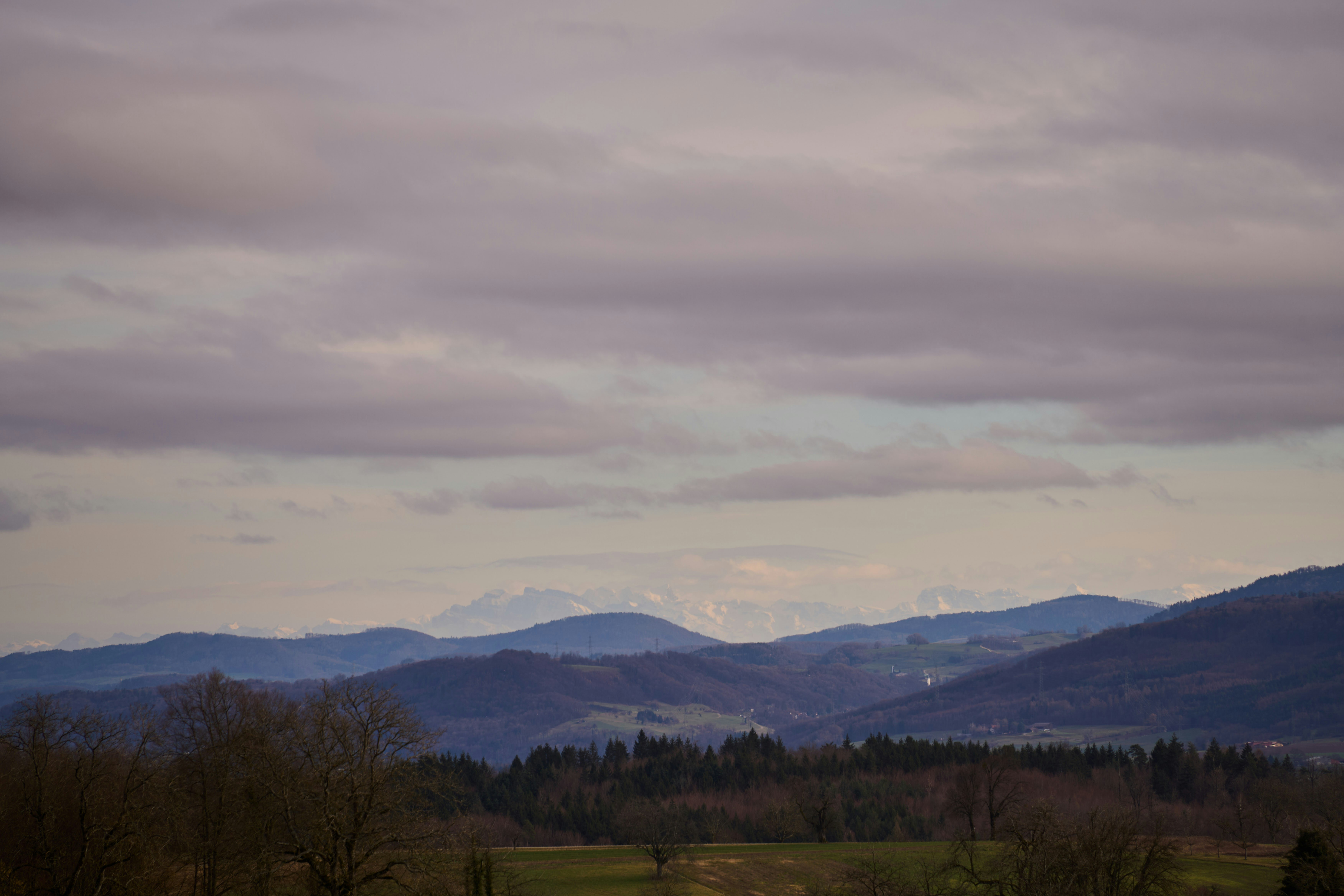 Photo by wolfgang_hasselmann