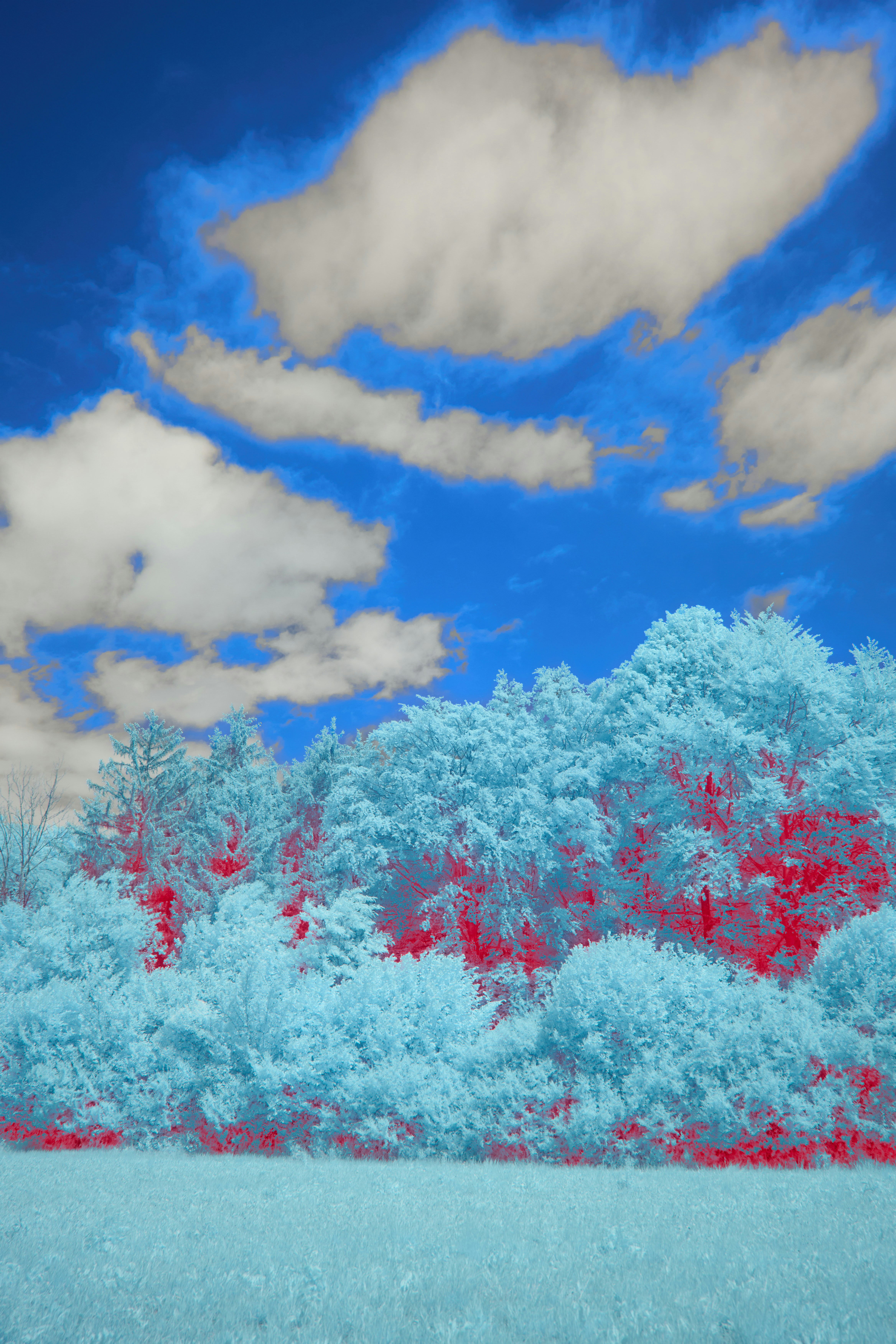 Photo by wolfgang_hasselmann