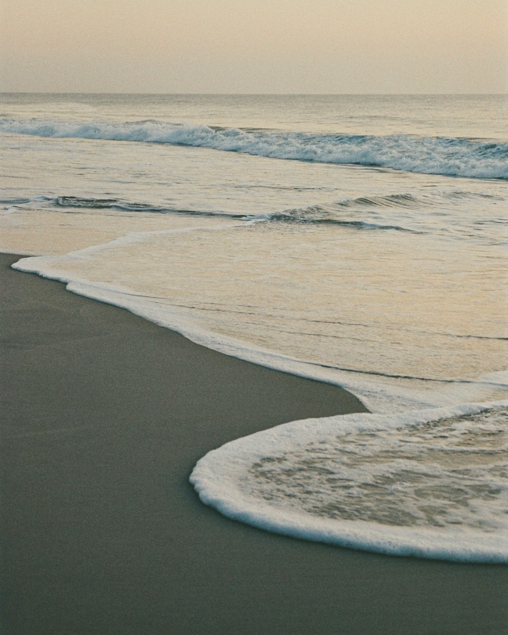 a couple of people walking along a beach next to the ocean