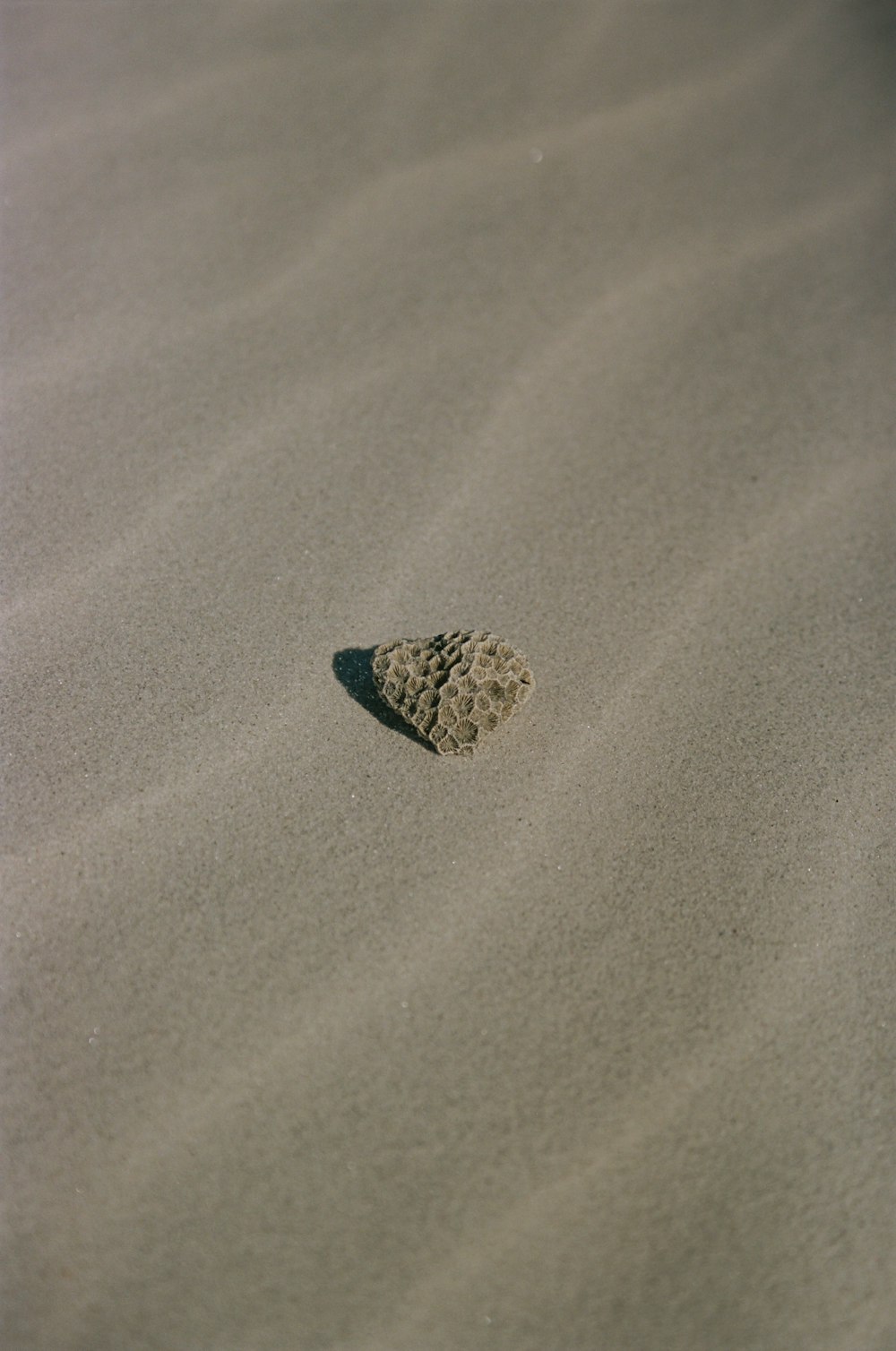 a small rock sitting on top of a sandy beach