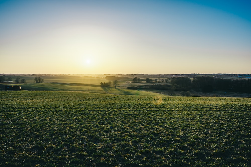 the sun is setting over a green field
