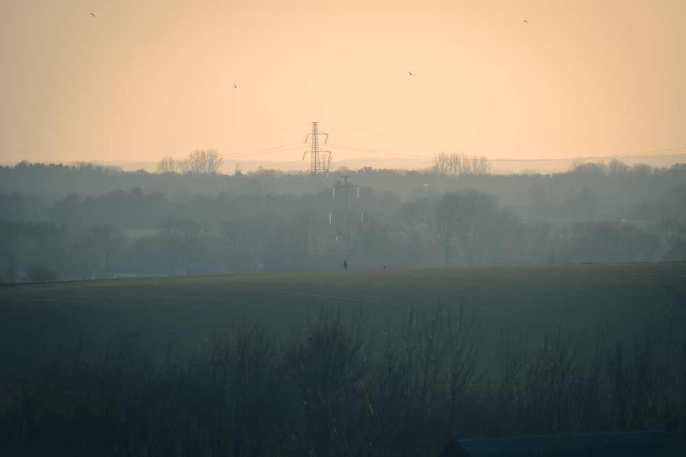 a foggy field with a telephone tower in the distance