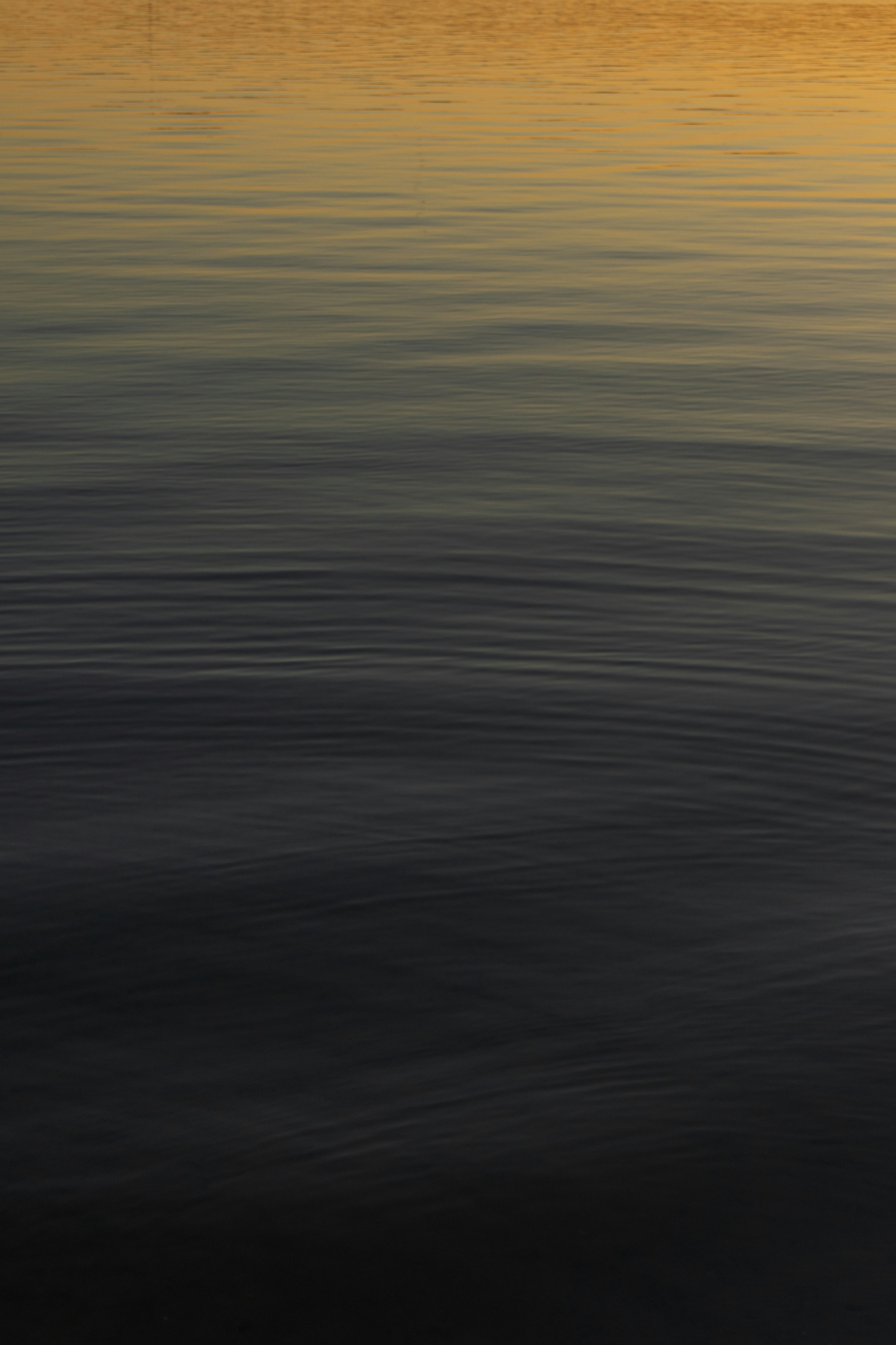 Photo by brandonstoll