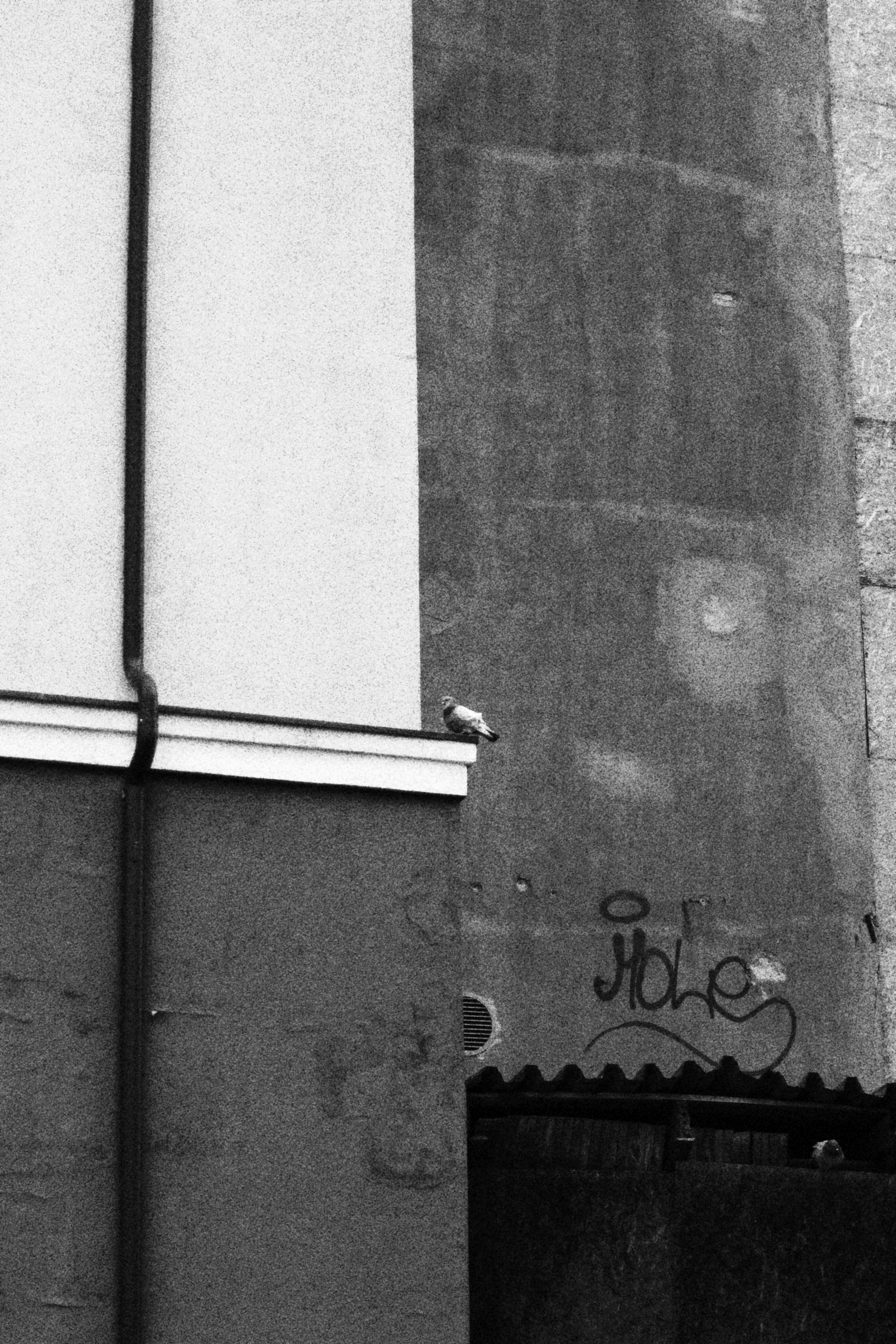 Photo by maximyuryshev