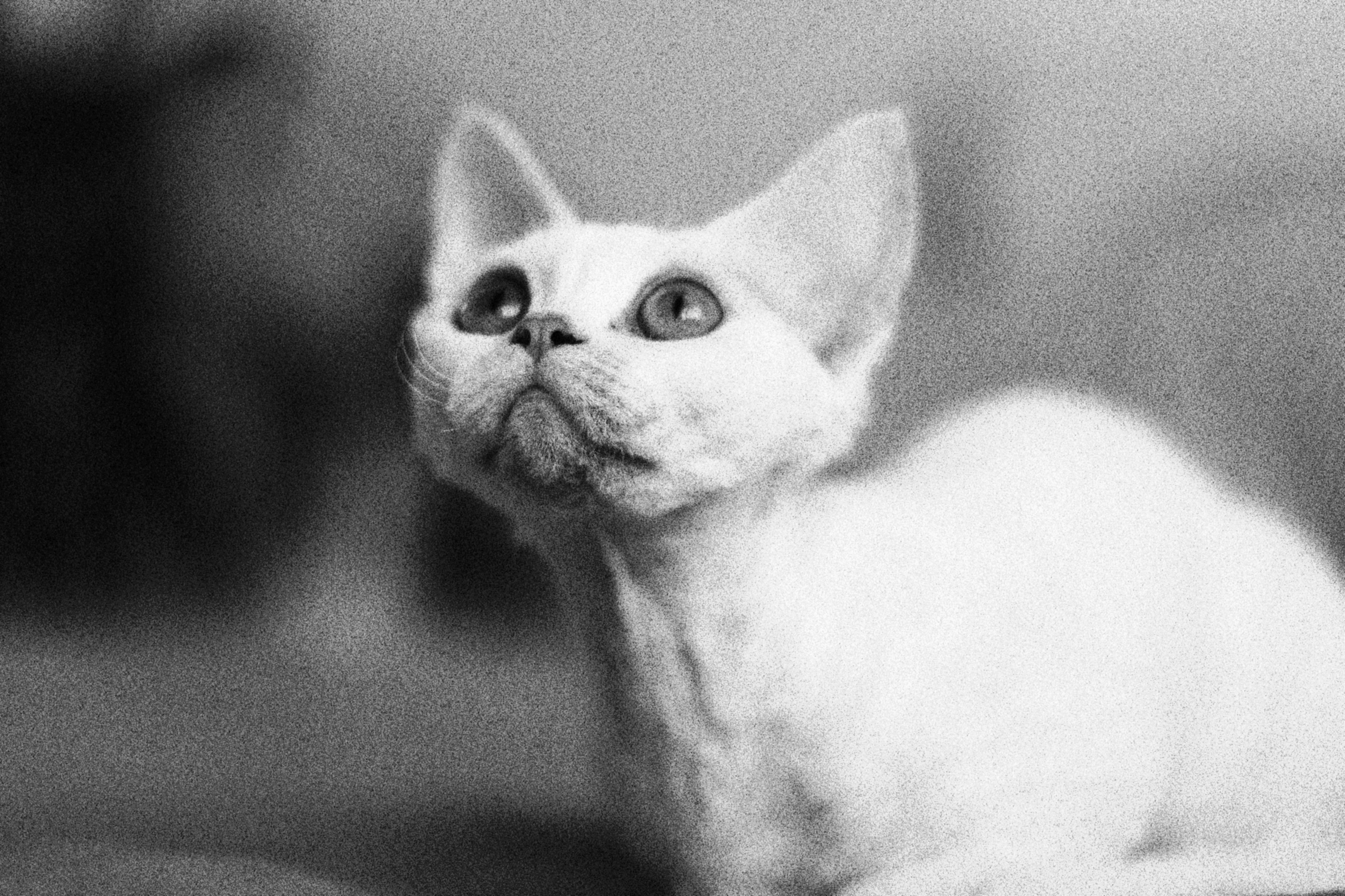 Photo by maximyuryshev