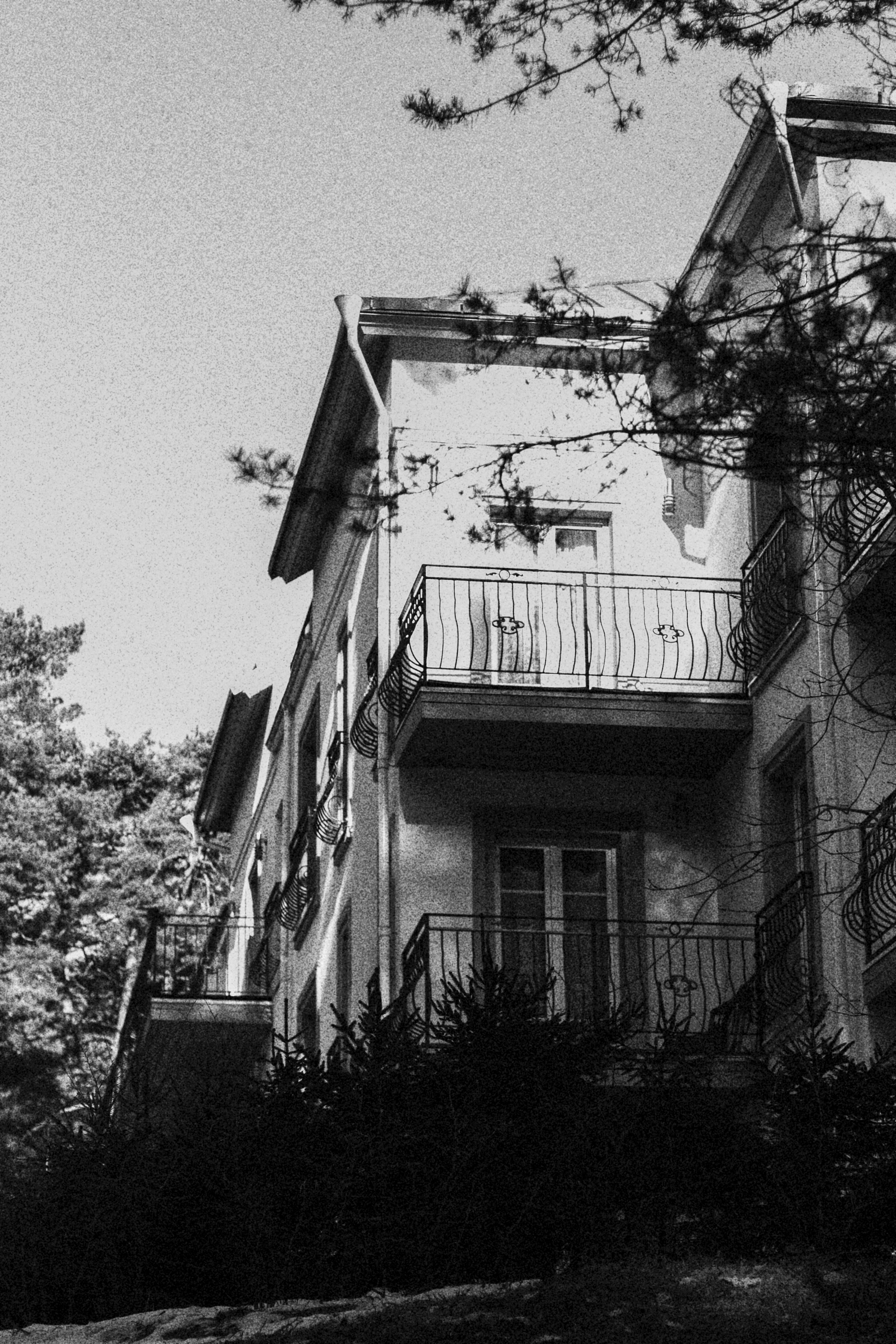 Photo by maximyuryshev