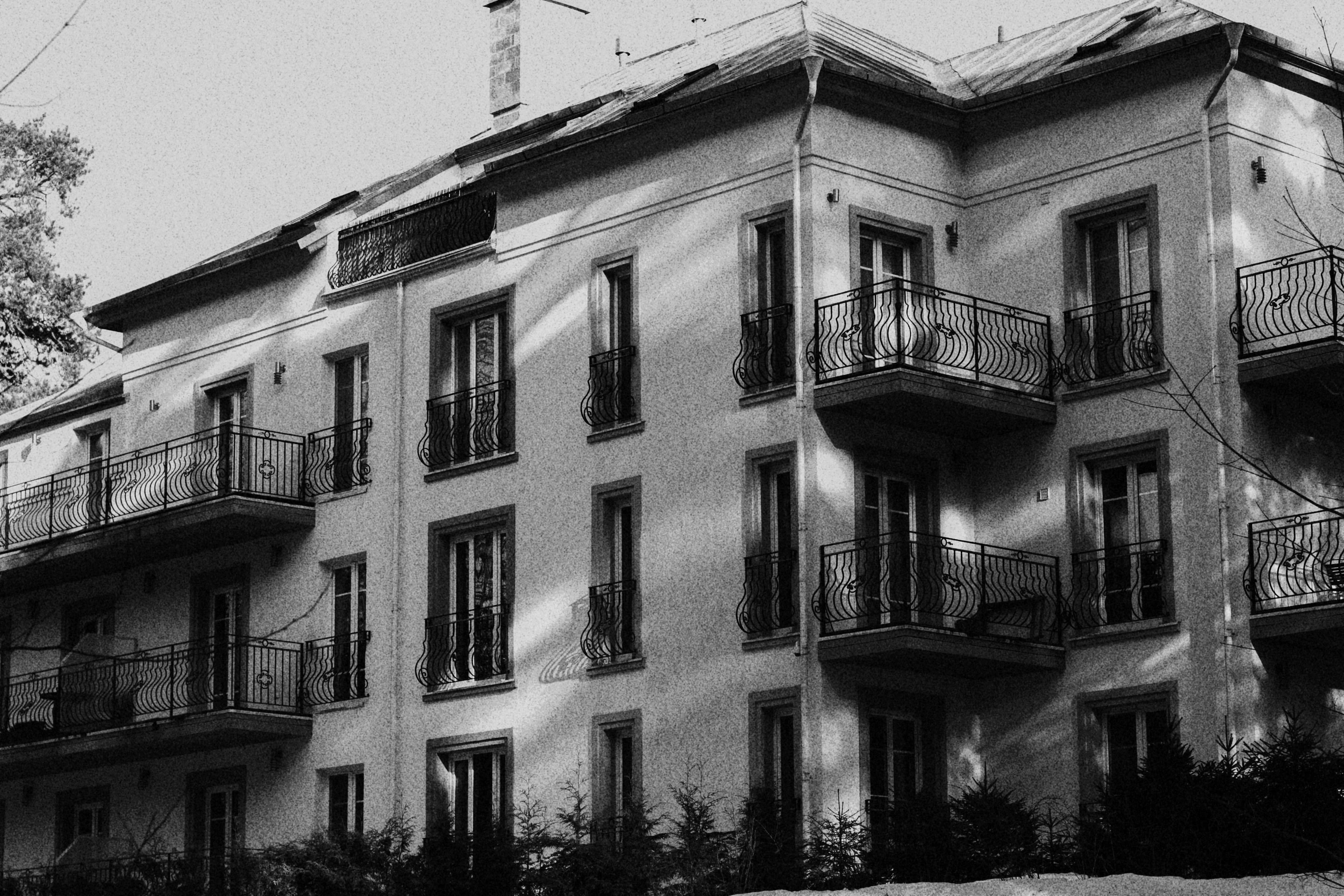 Photo by maximyuryshev