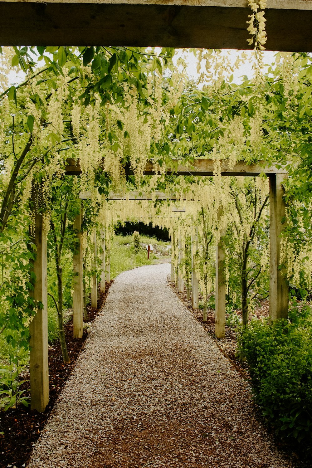 a pathway lined with trees and bushes in a park