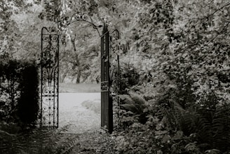 a black and white photo of an iron gate