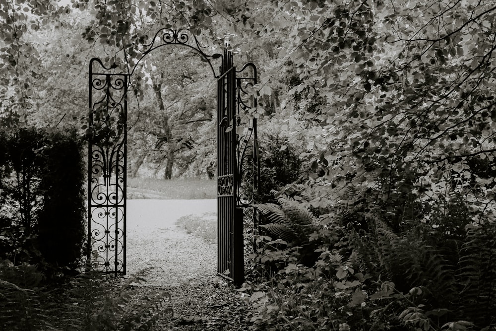a black and white photo of an iron gate