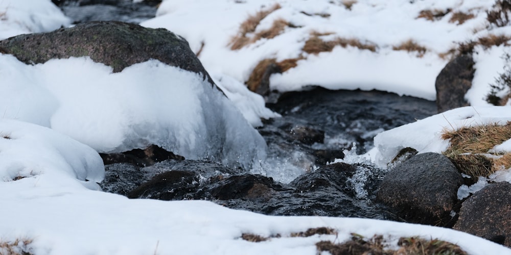 a stream running through a snow covered forest