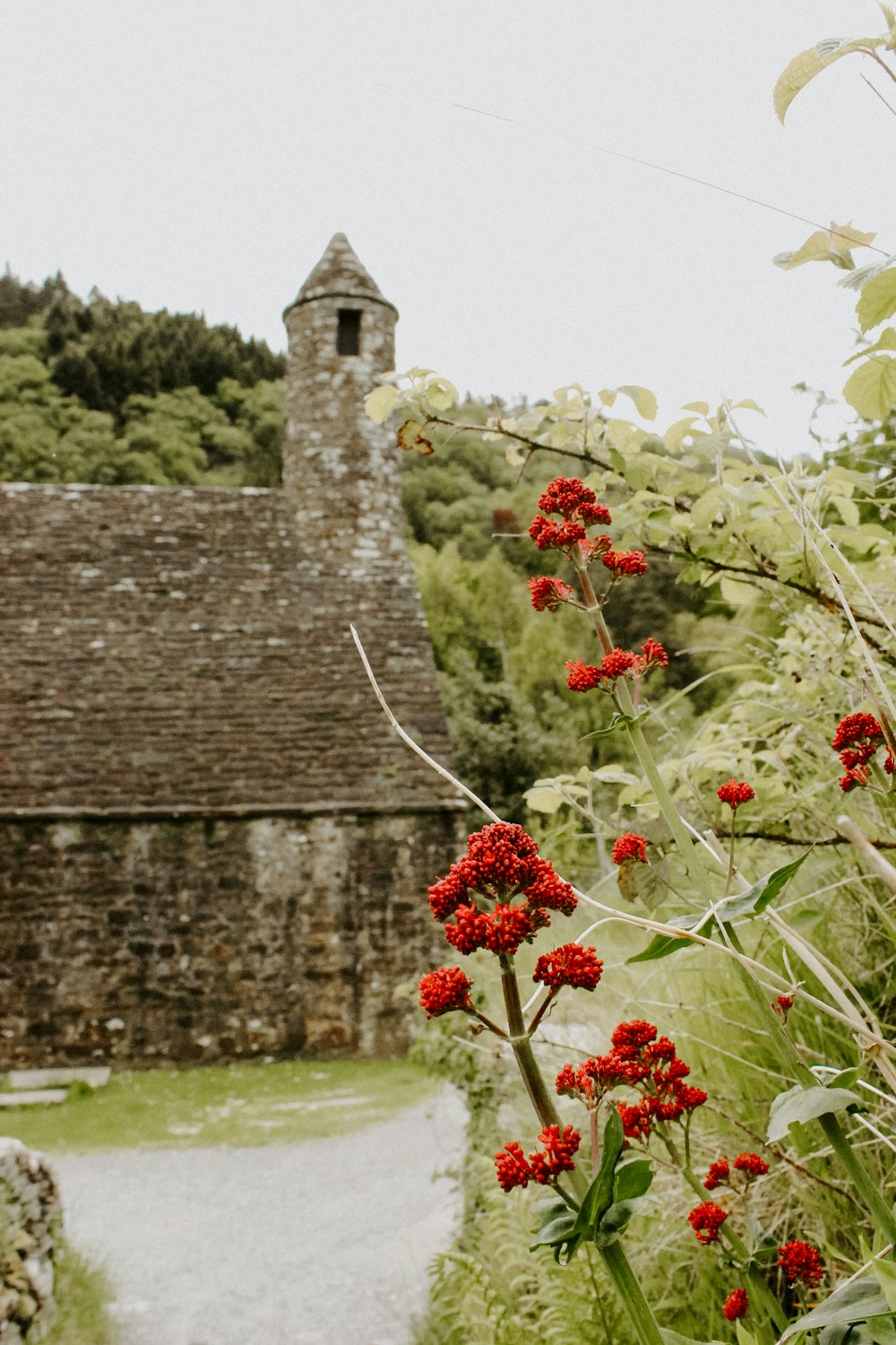 a stone building with a red flower in front of it