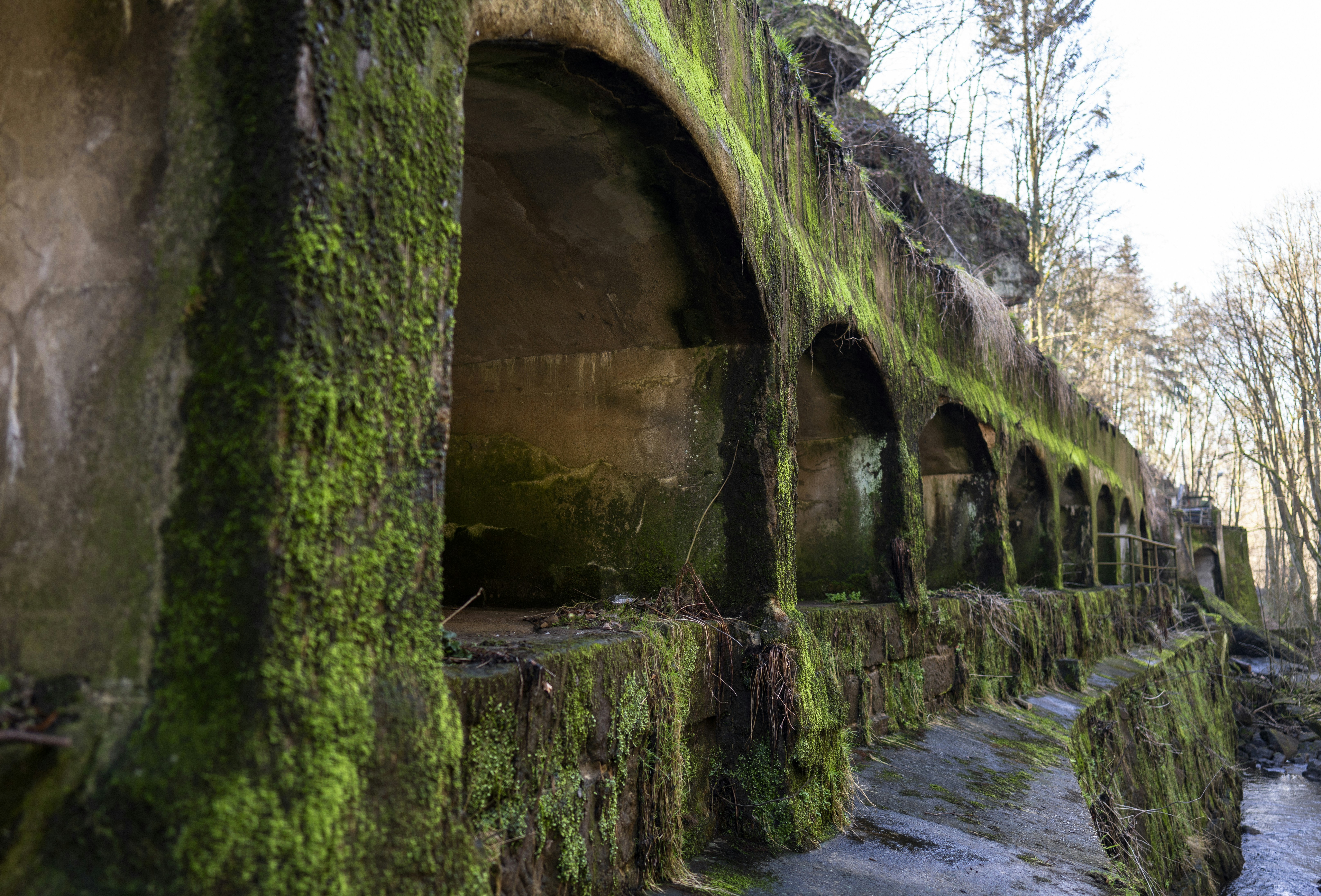 Disappearance and Rediscovery (image credits: unsplash)