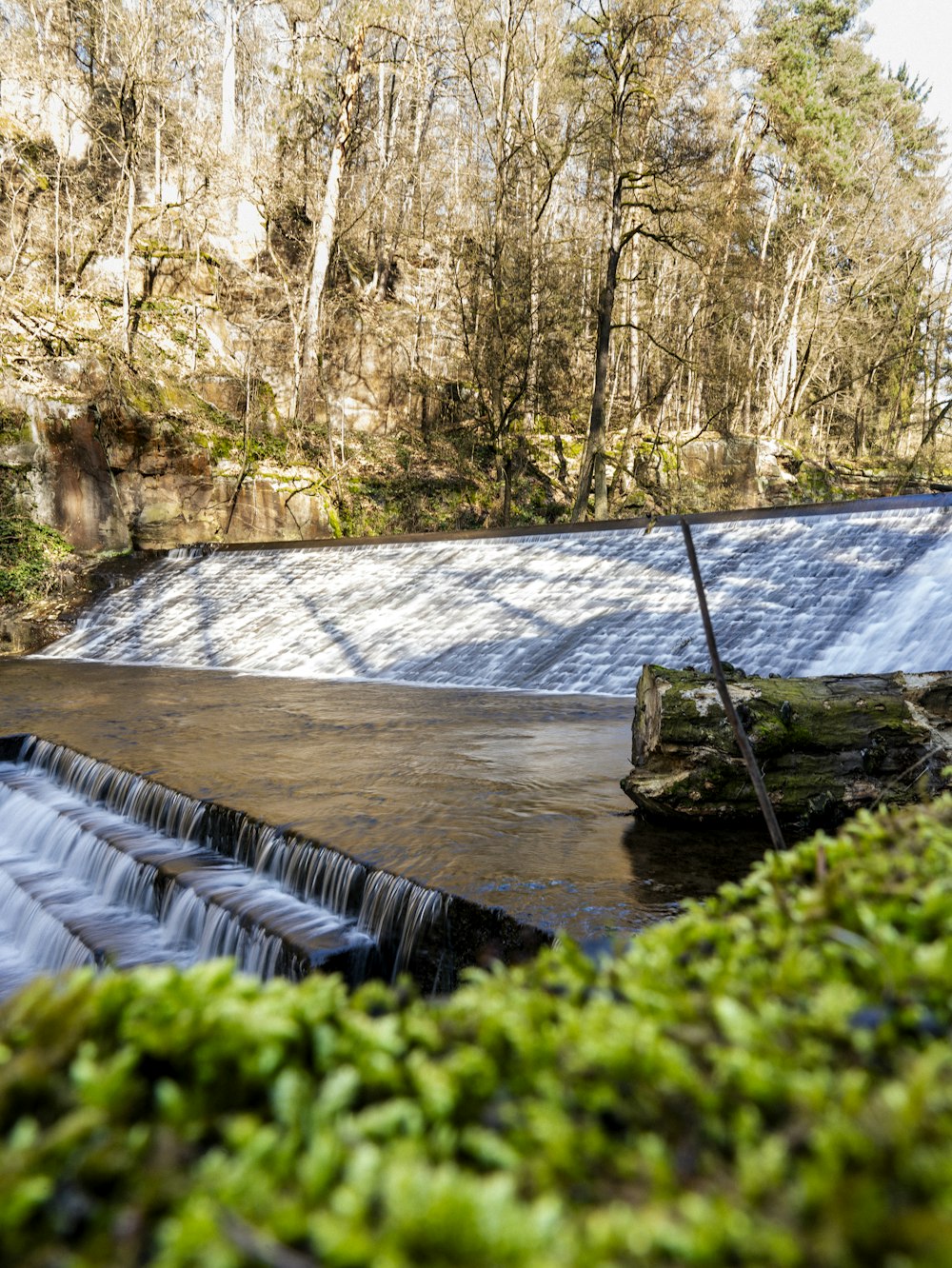 una pequeña cascada en medio de un bosque