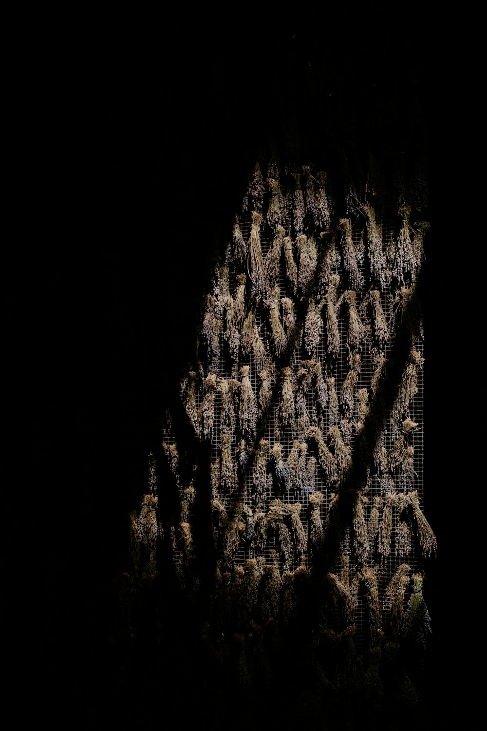 um grande grupo de pessoas em pé no escuro