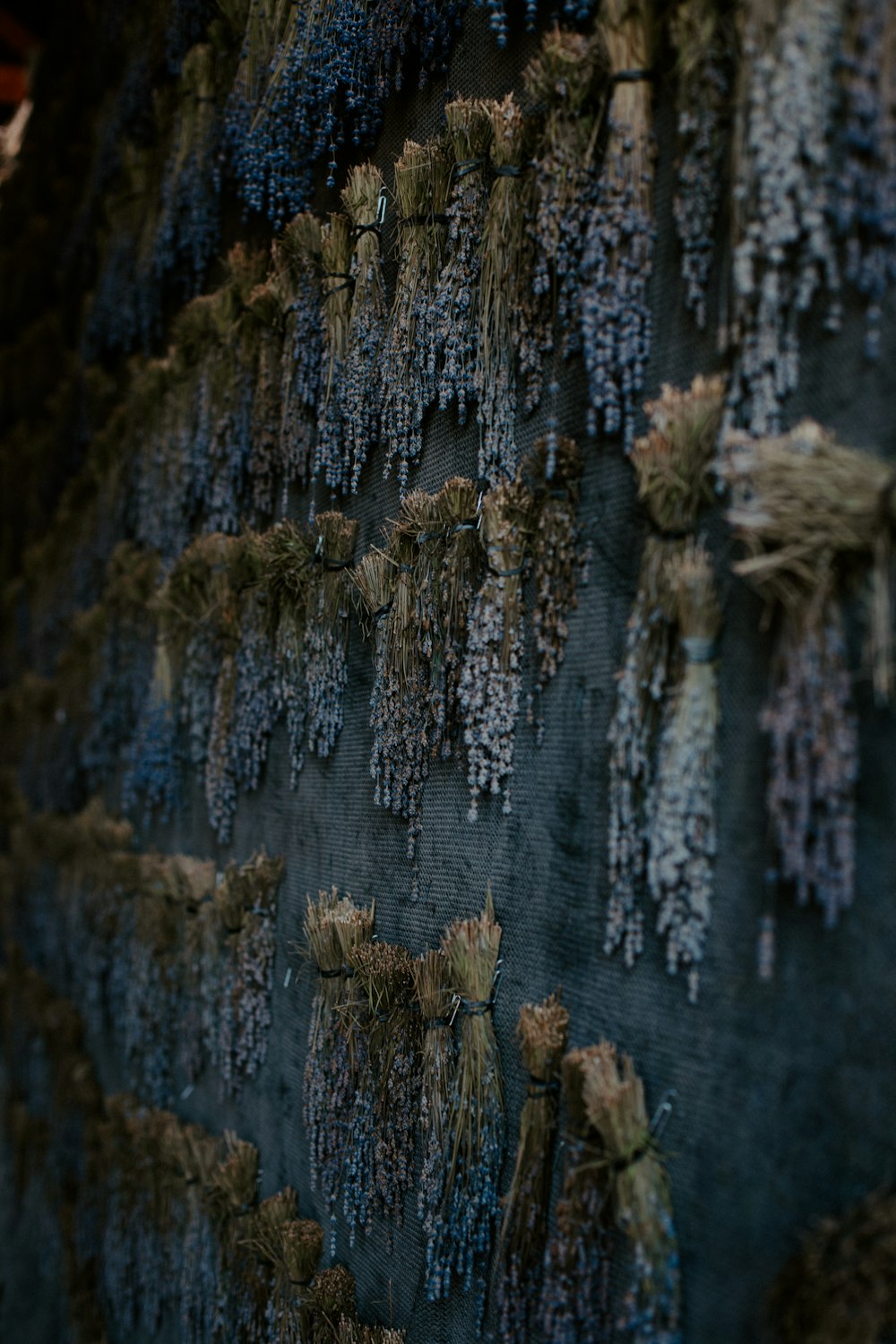 a close up of a tree with moss growing on it