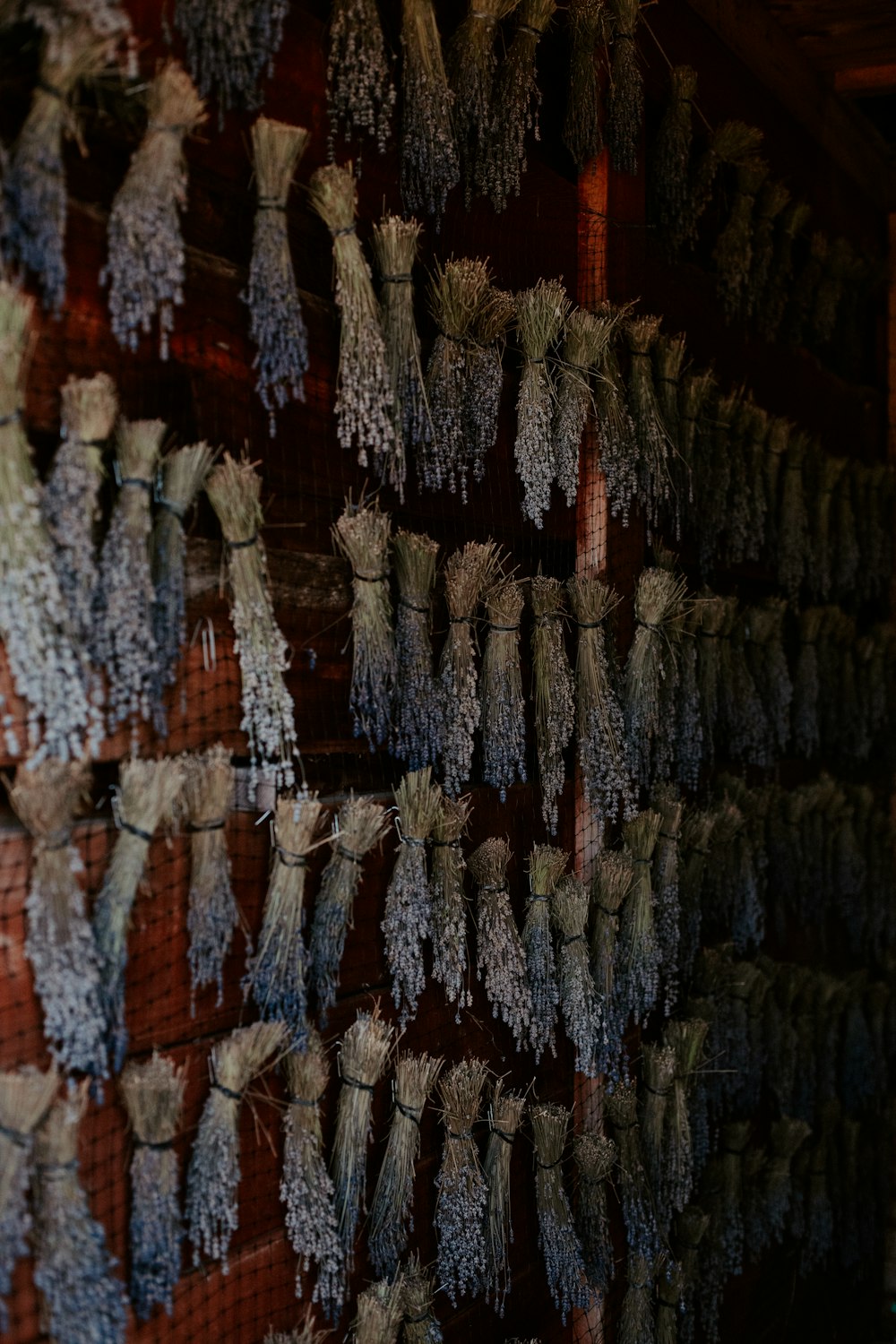 a bunch of flowers hanging on a wall