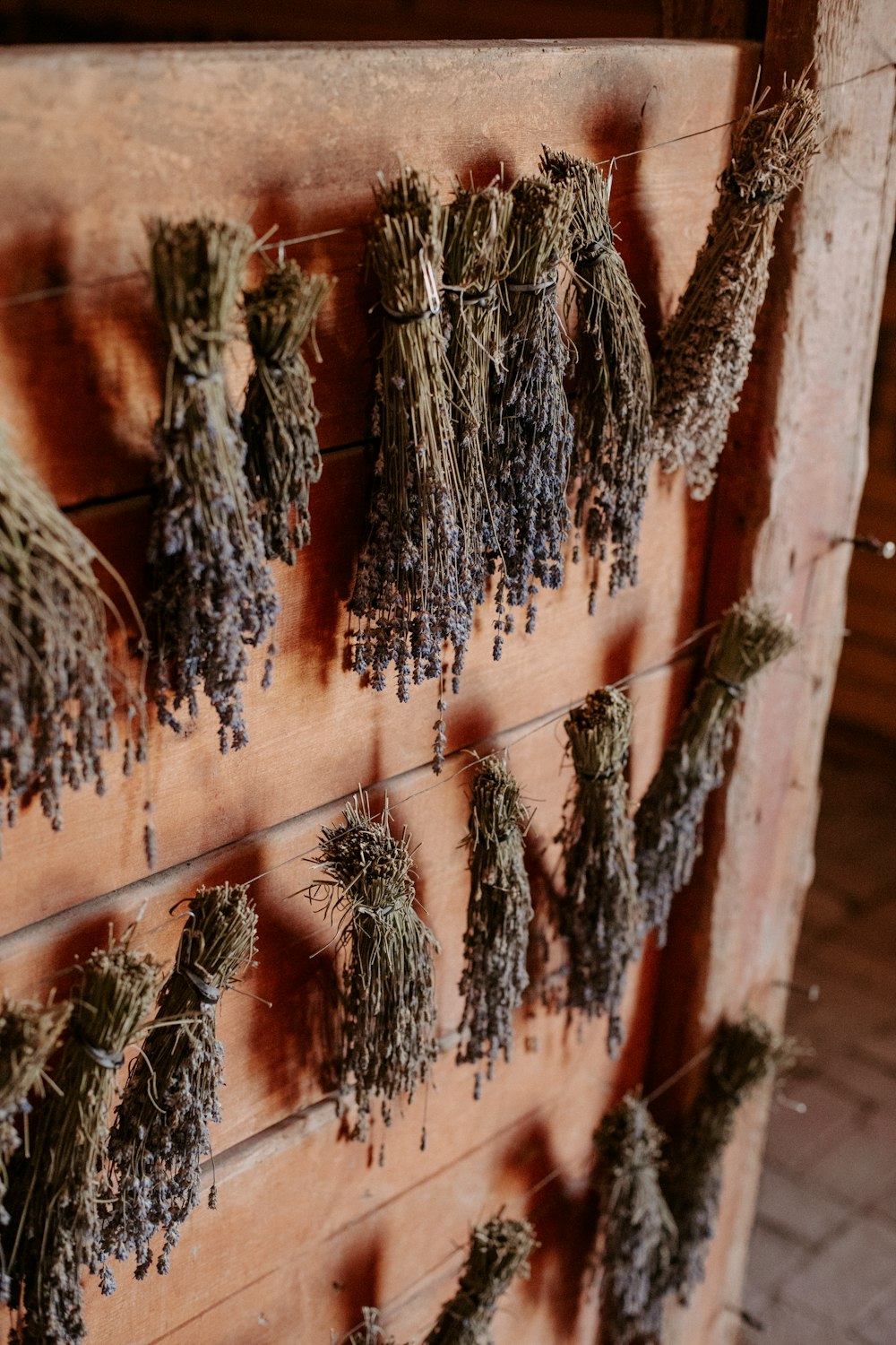 un manojo de hierbas secas colgado en una pared