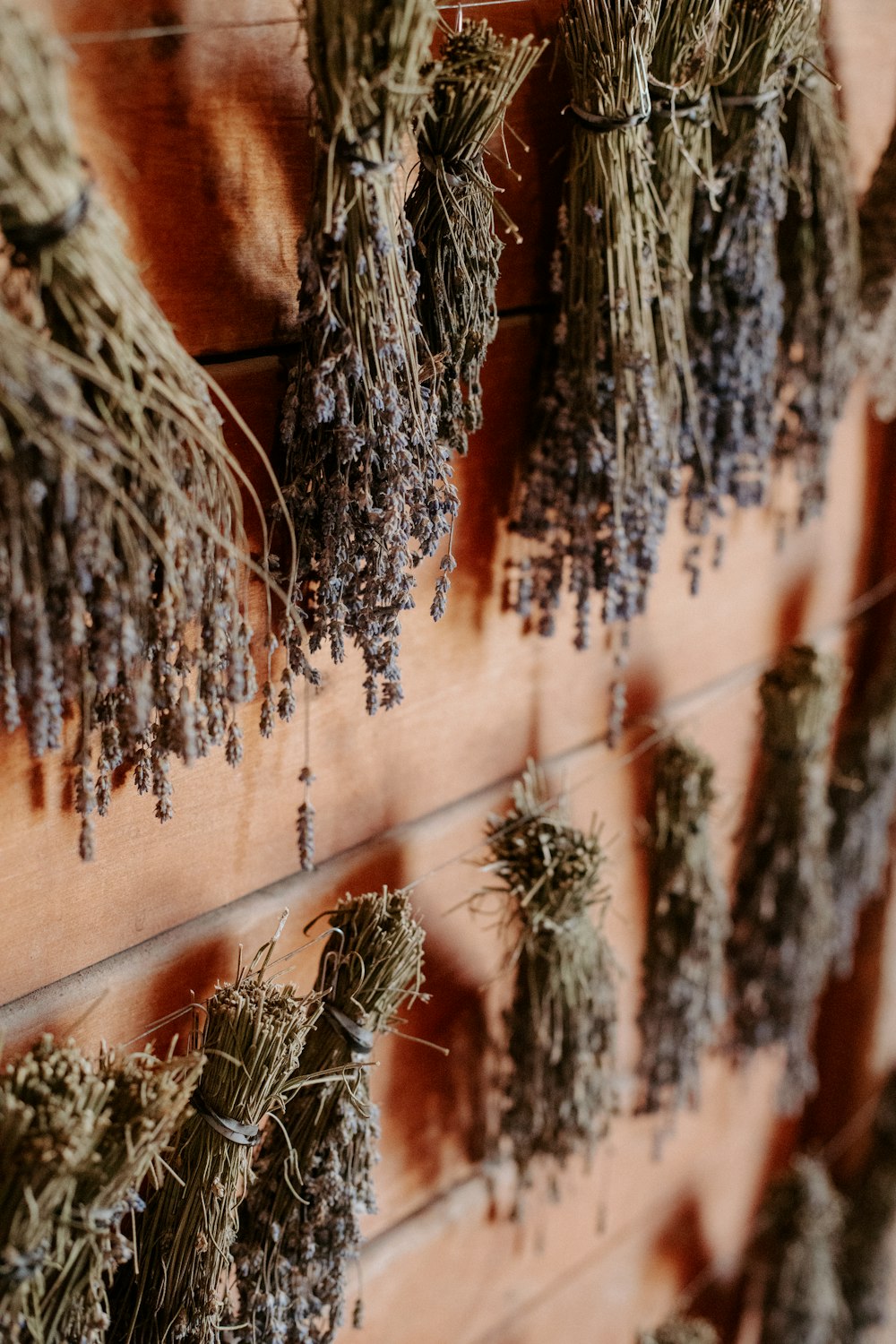 um monte de ervas secas penduradas em uma parede