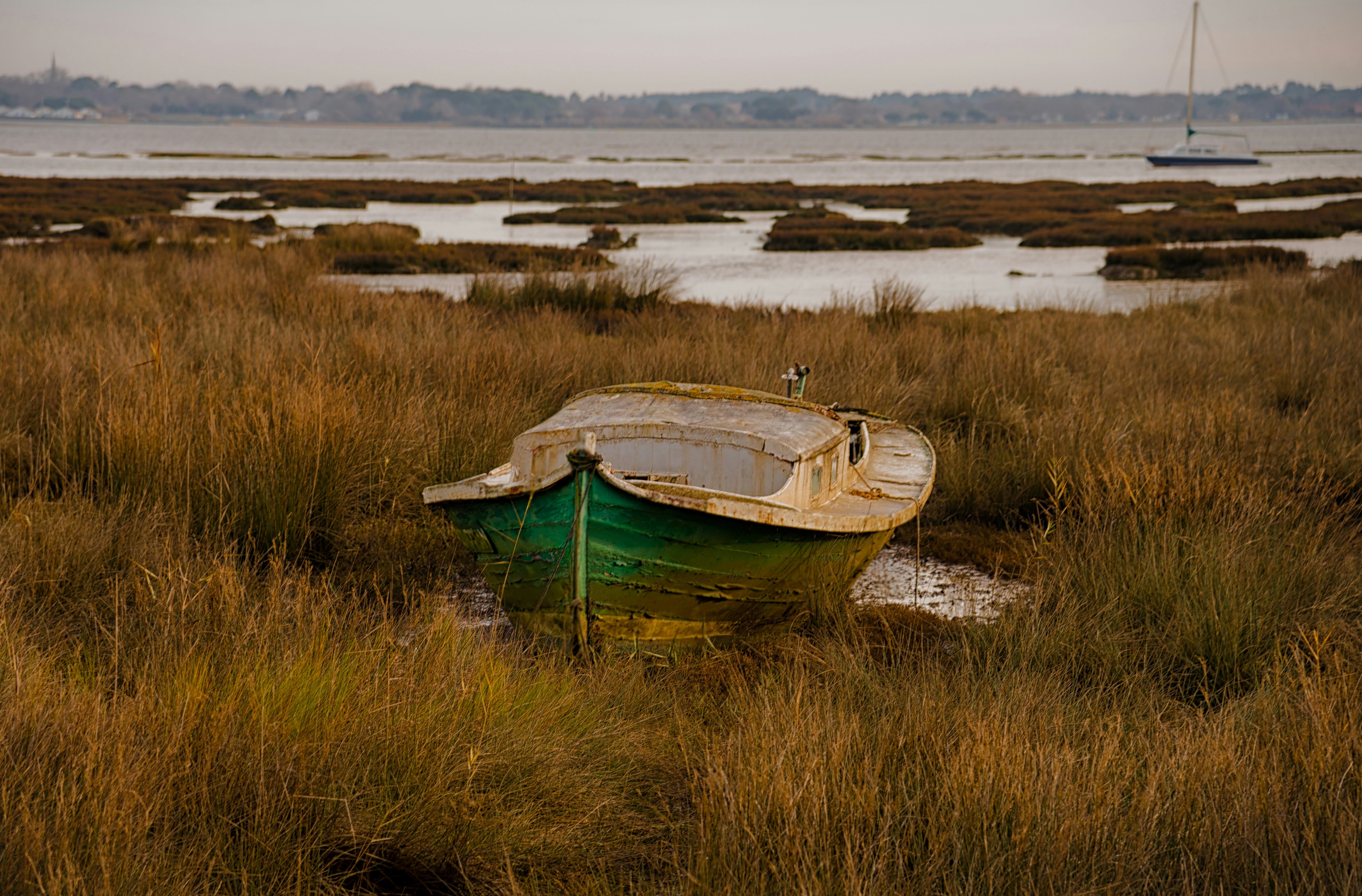 Photo by ahmed_ammar24