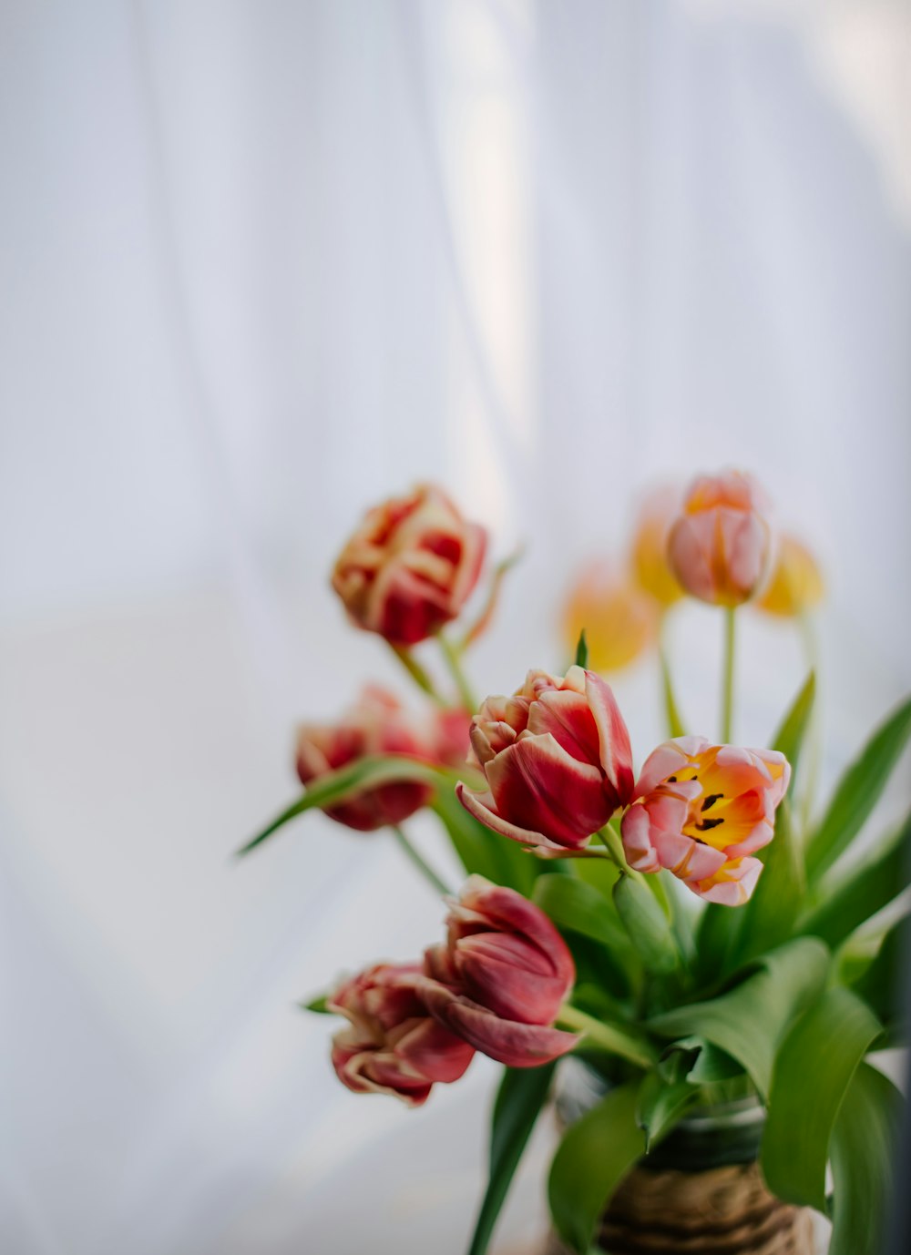 a vase filled with lots of flowers on top of a table