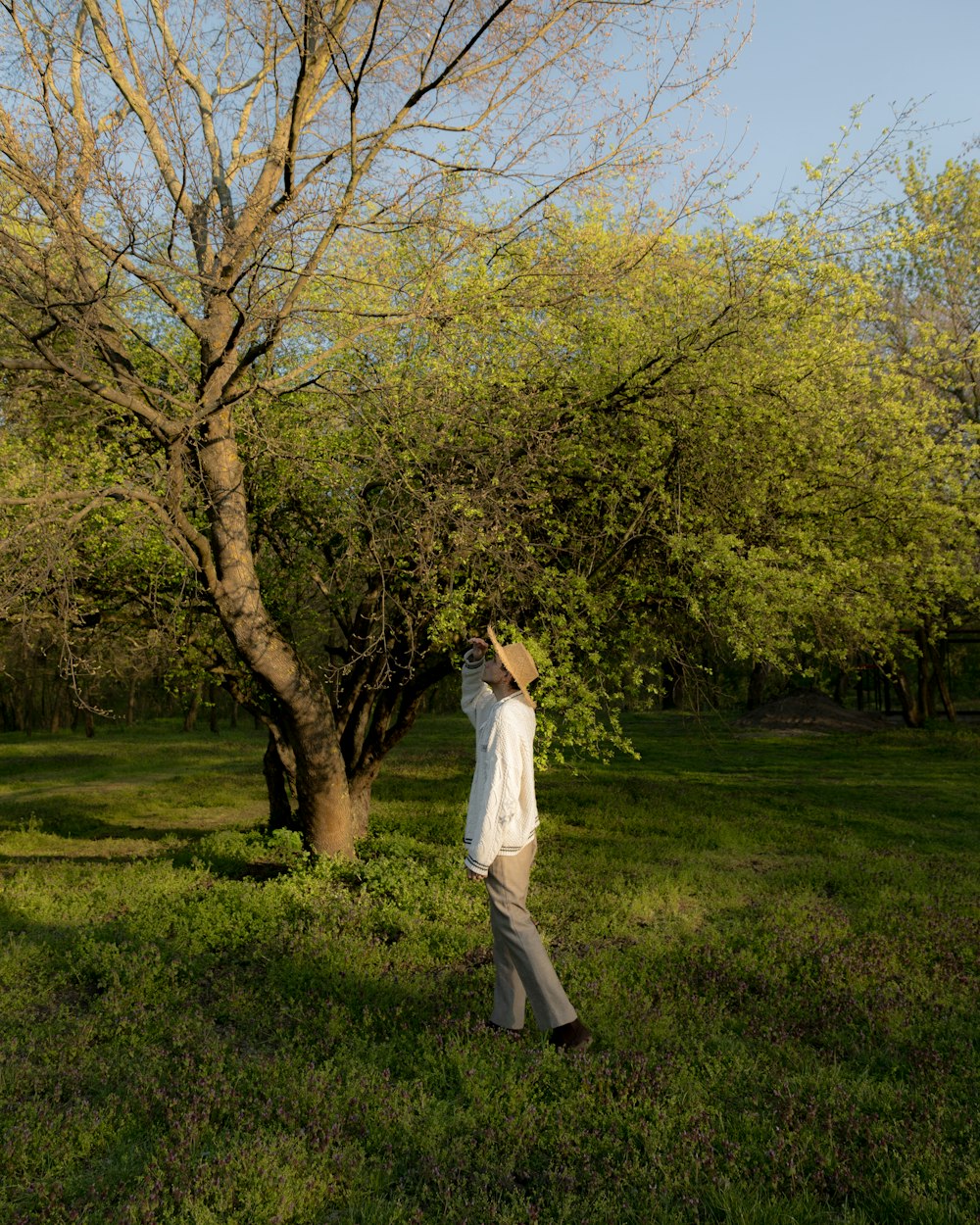 a man standing in a field next to a tree