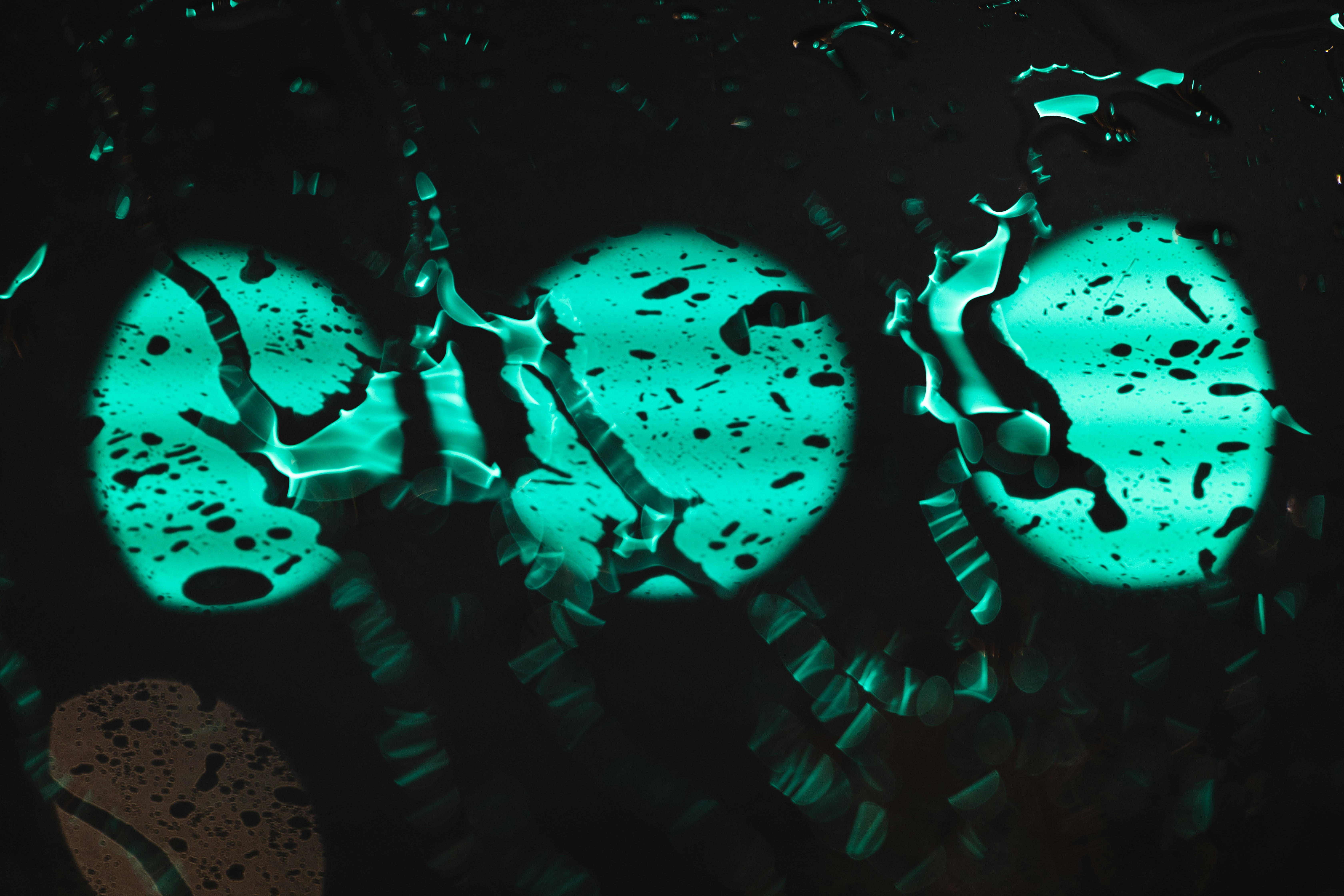 Photo by nicolebomar