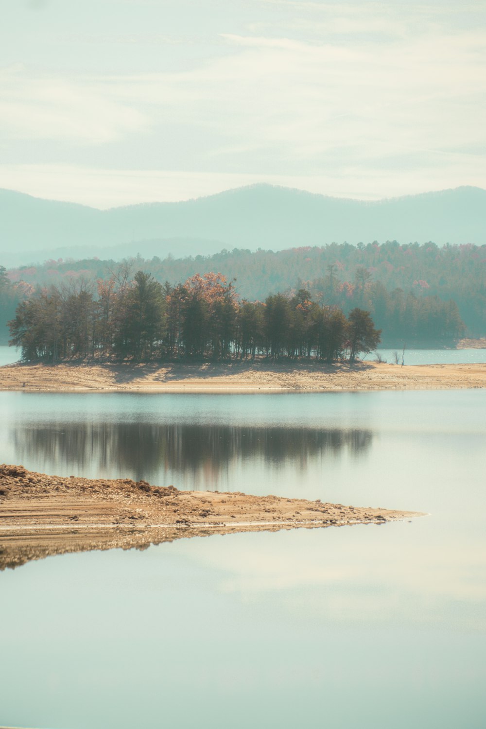 a large body of water surrounded by a forest