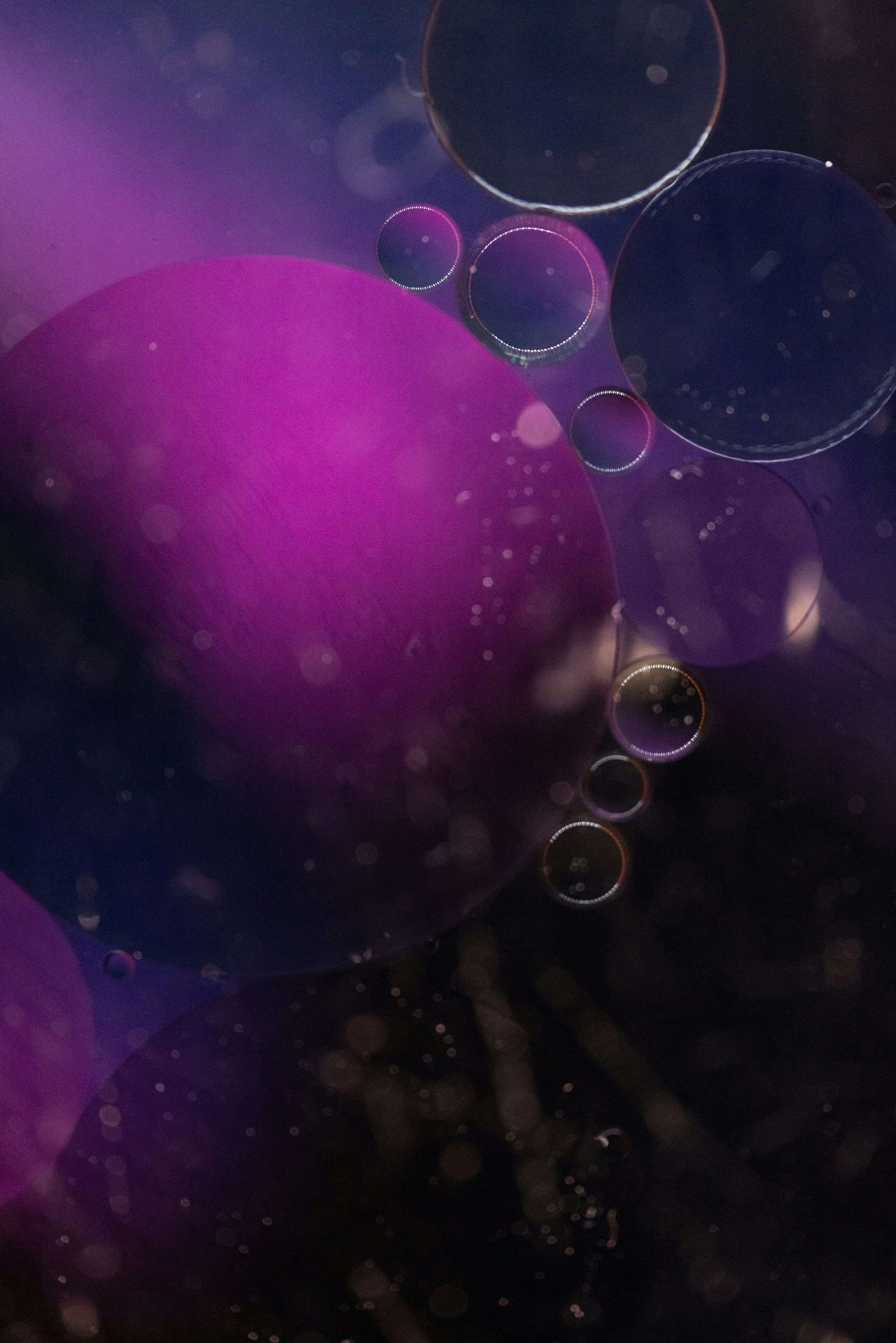 Photo by solenfeyissa