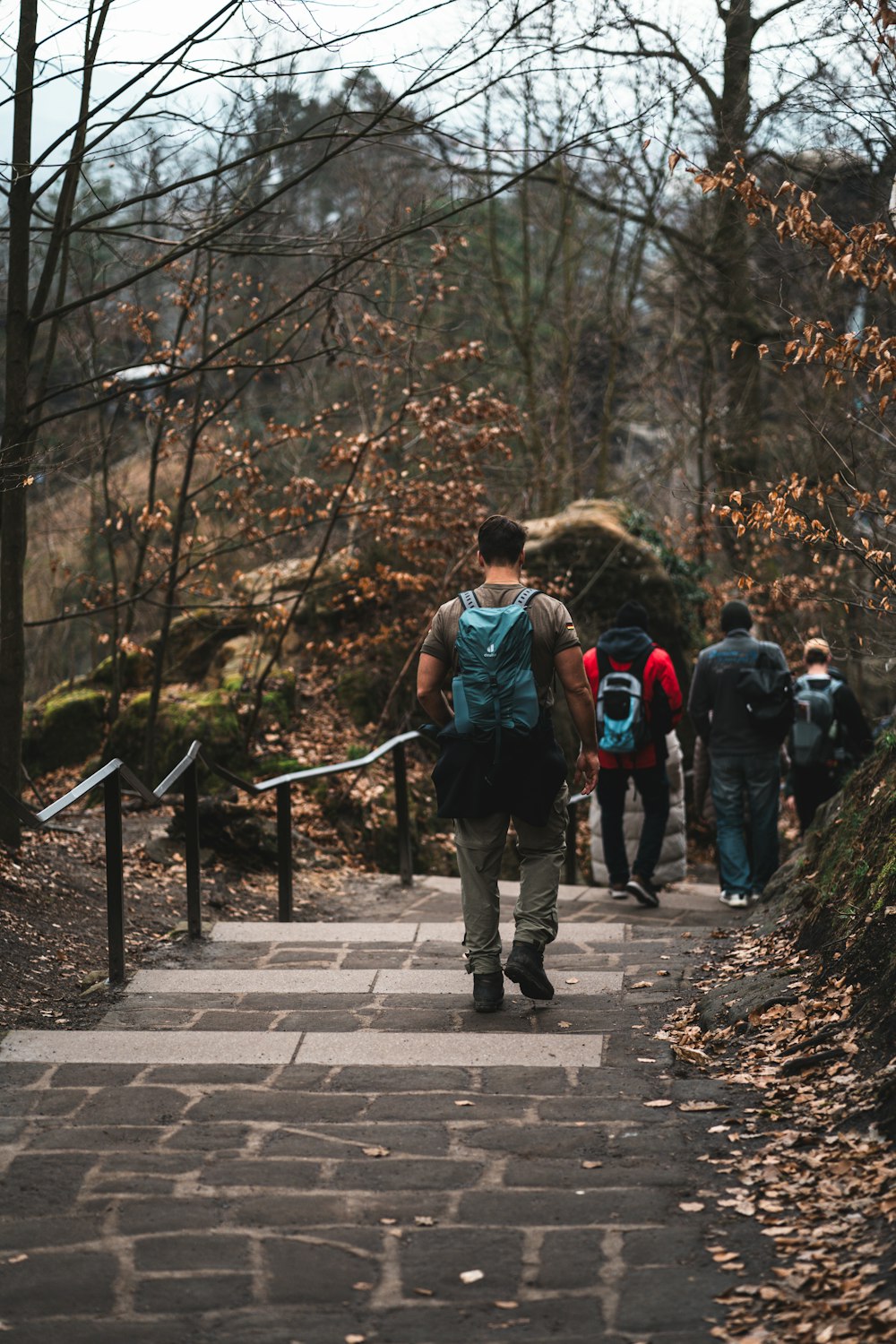 a group of people walking down a path in the woods