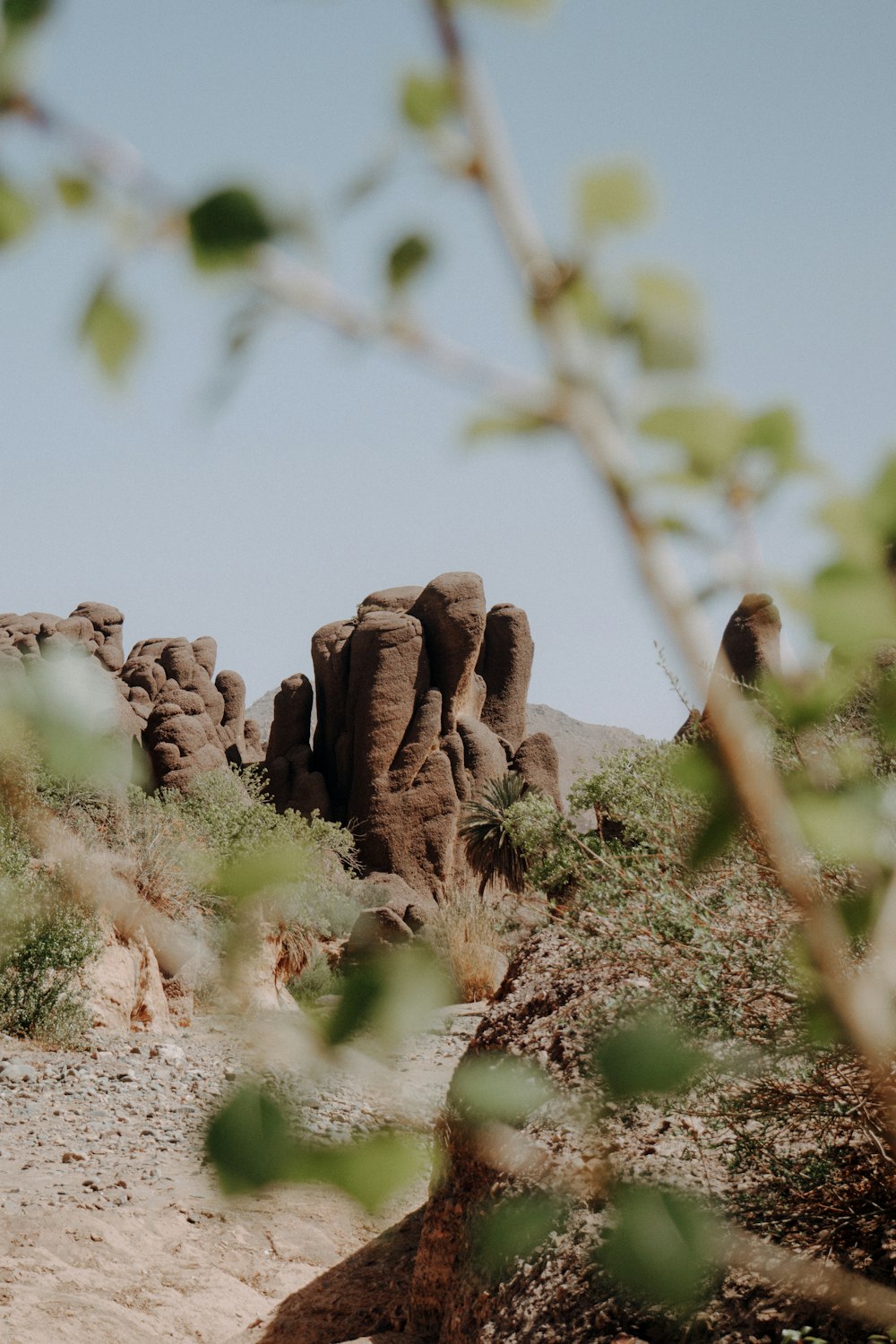 Un grupo de rocas en medio de un desierto