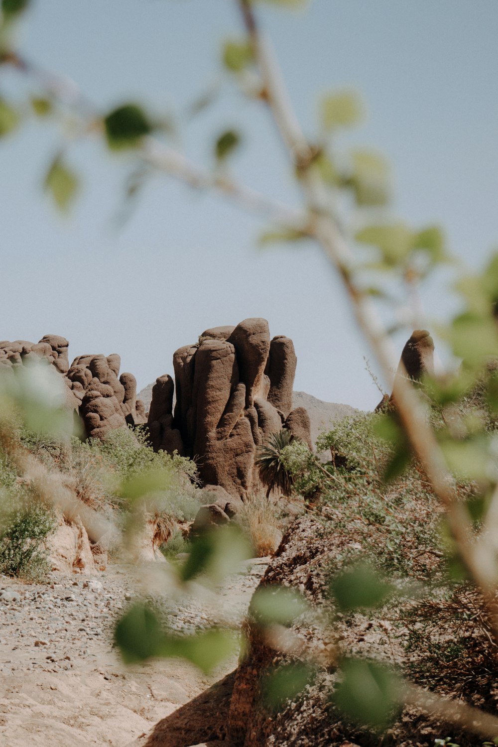 a group of rocks in the middle of a desert