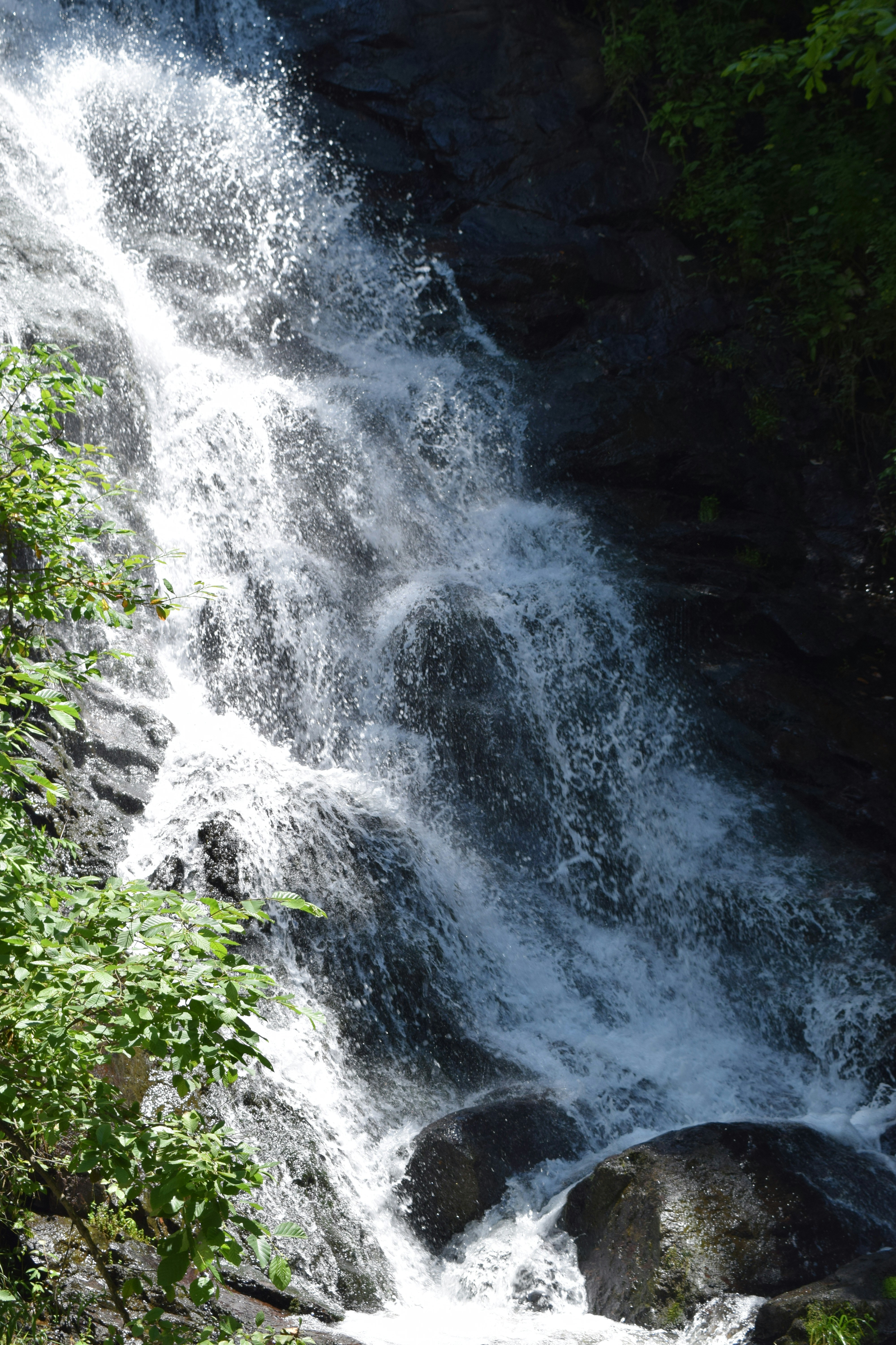 Photo by filming_co2022