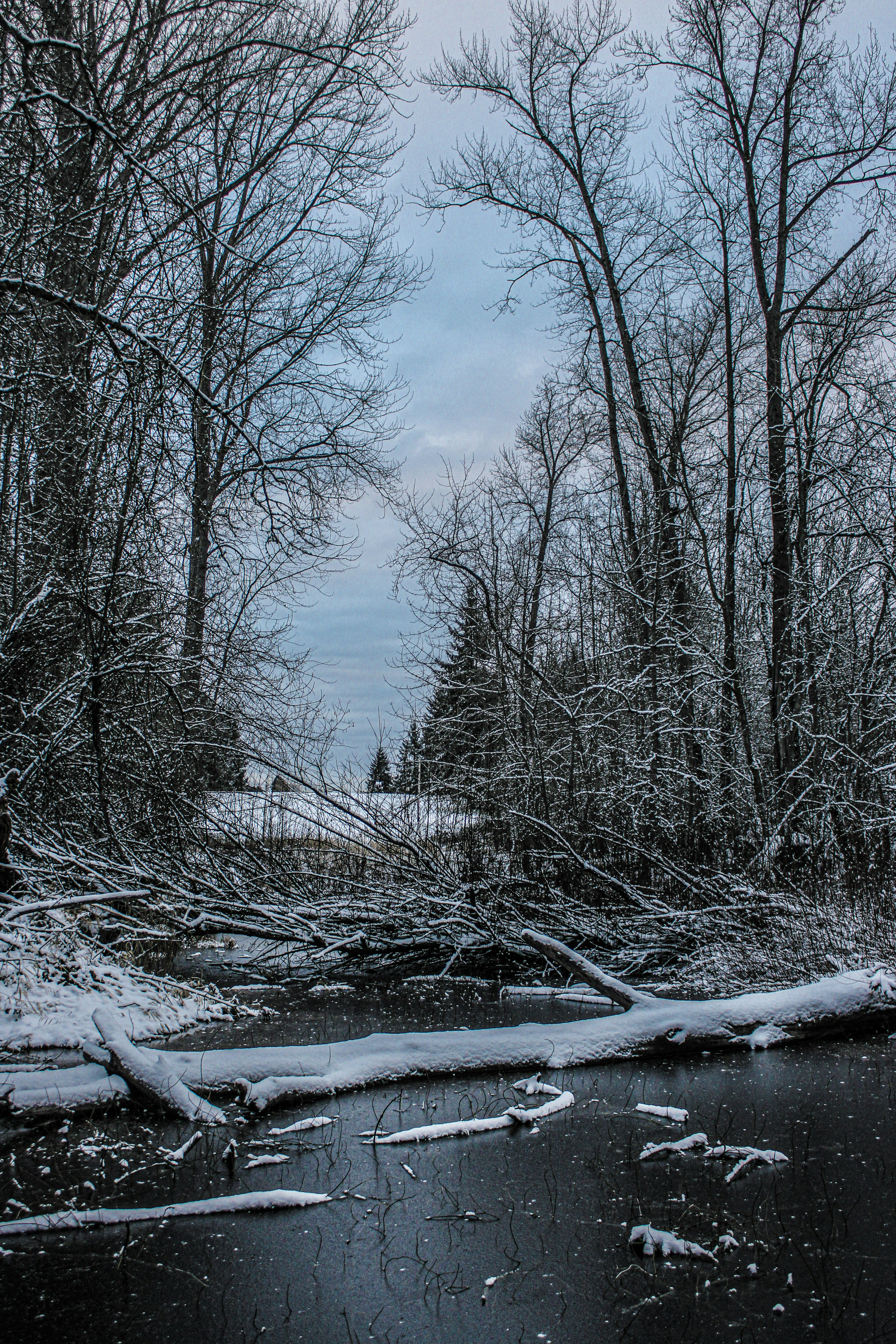 Photo by prphotography262