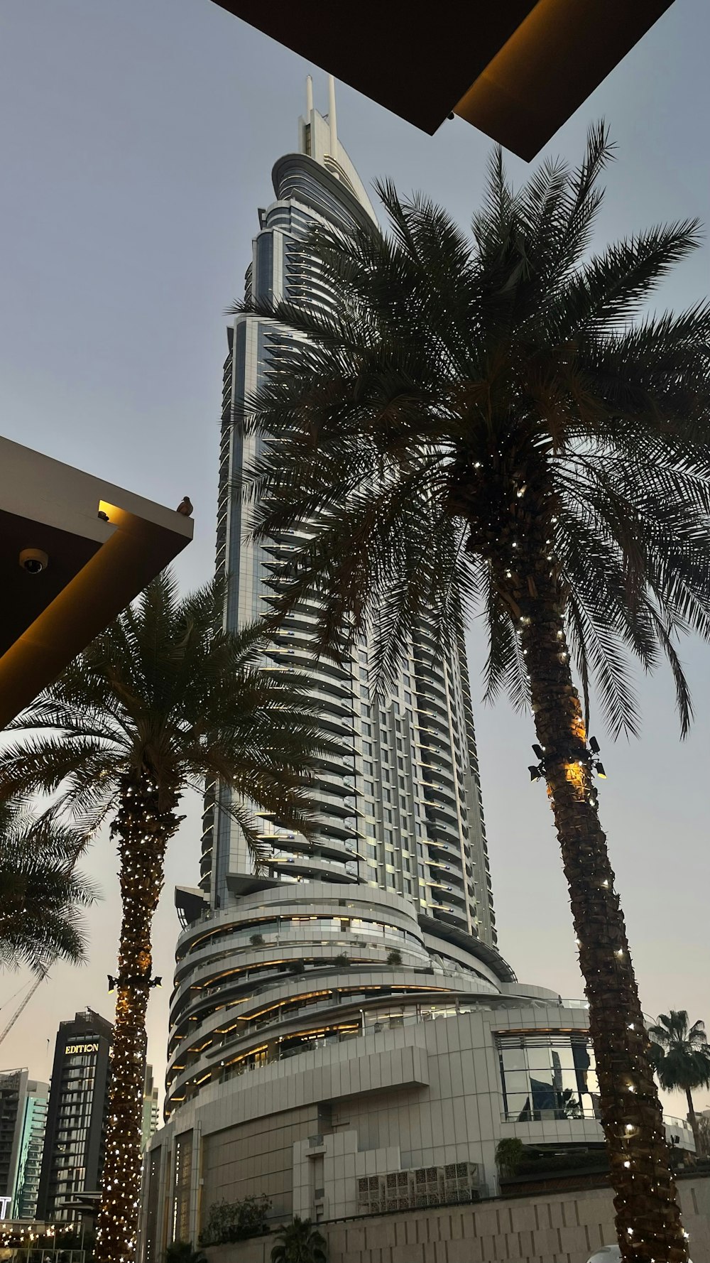 a tall building sitting next to a palm tree