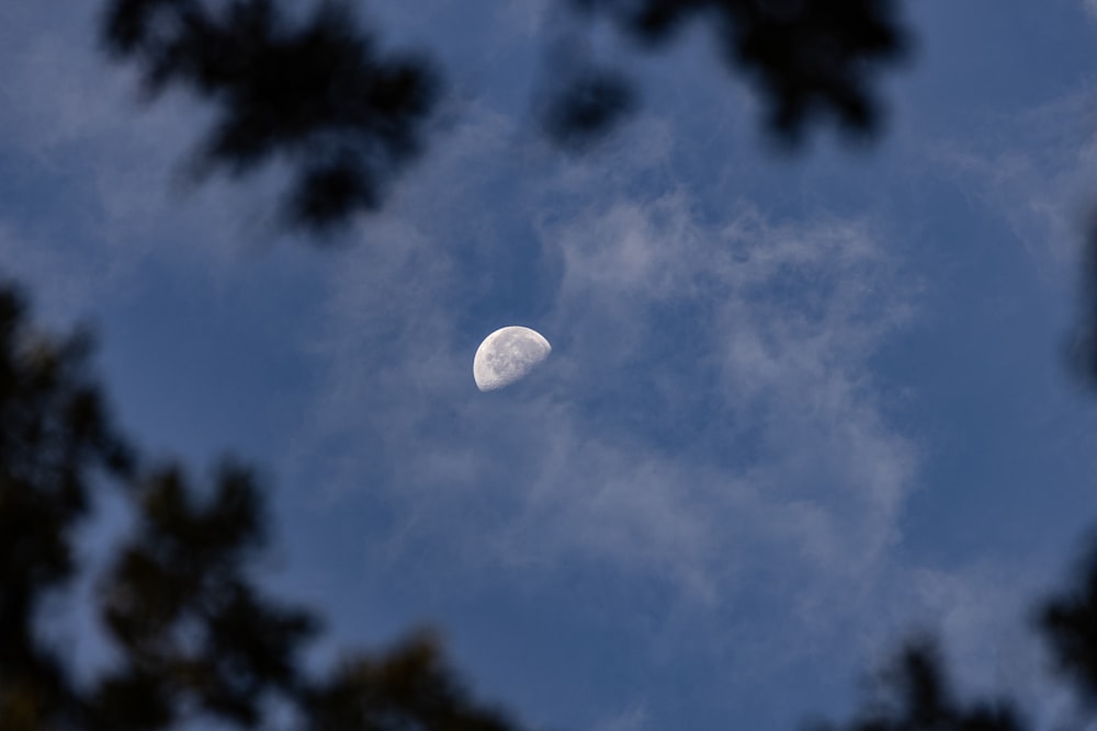 a view of the moon through some trees