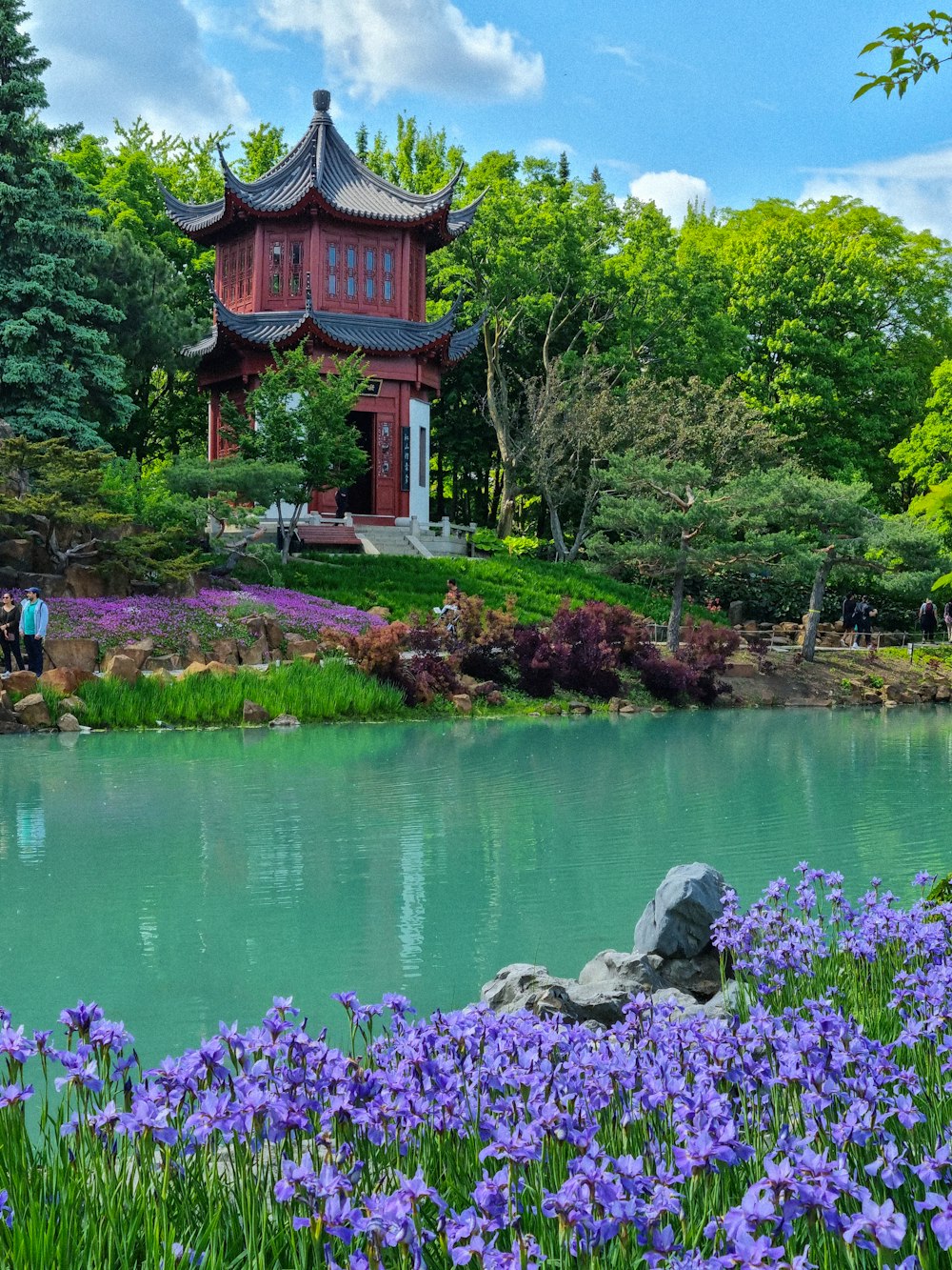 a pond with purple flowers and a pagoda in the background