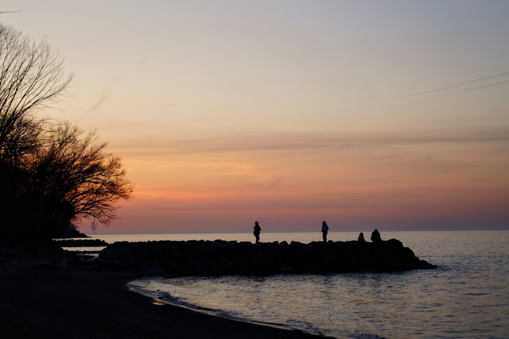 a group of people standing on top of a beach next to the ocean