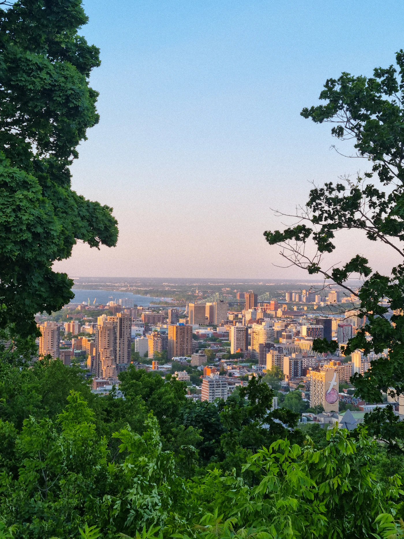 View from the Kondiaronk Belvedere on Mount Royal in Montreal, with the downtown skyline spread below and the St. Lawrence River visible in the distance