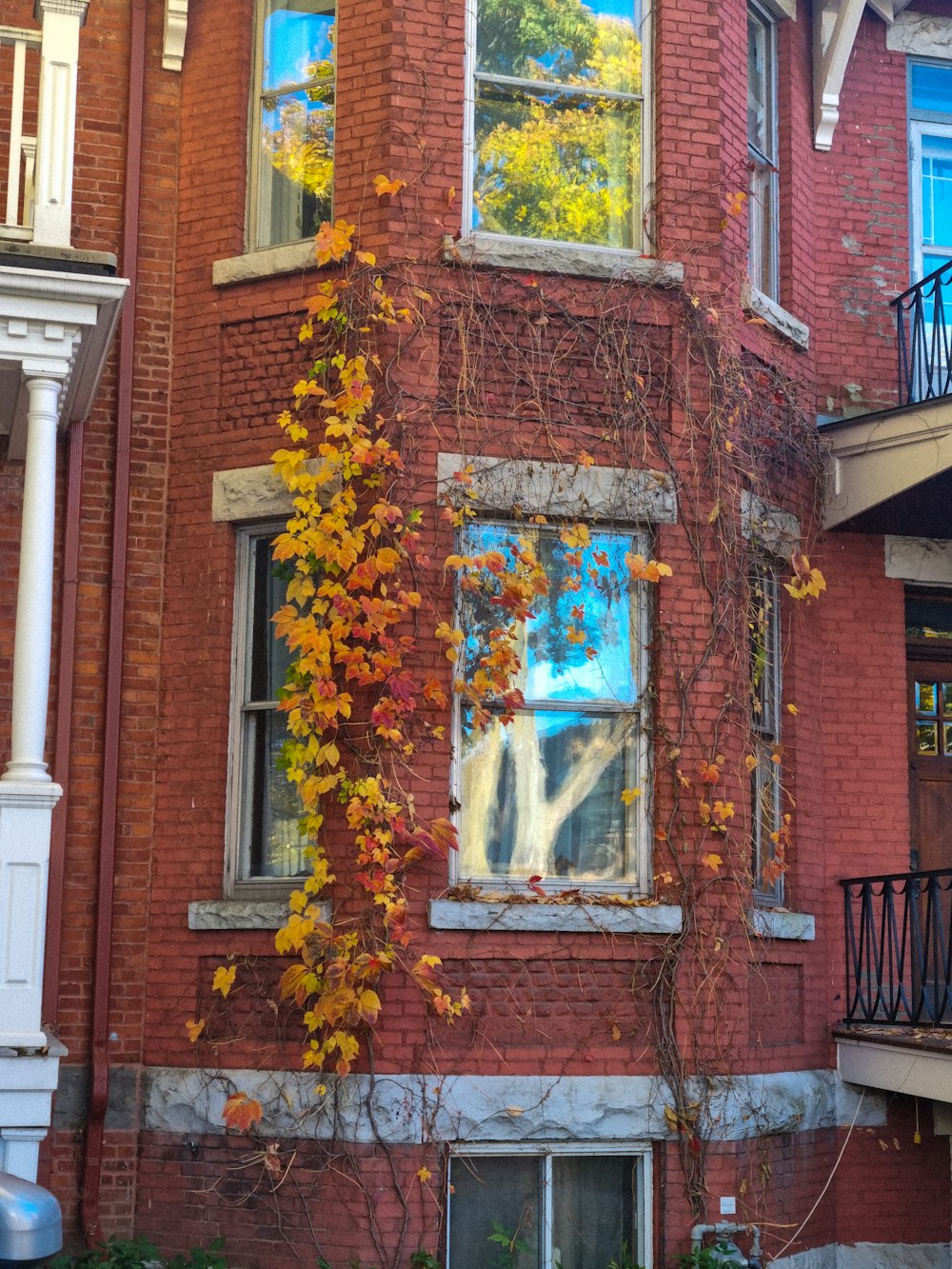 a red brick building with a tree in the window
