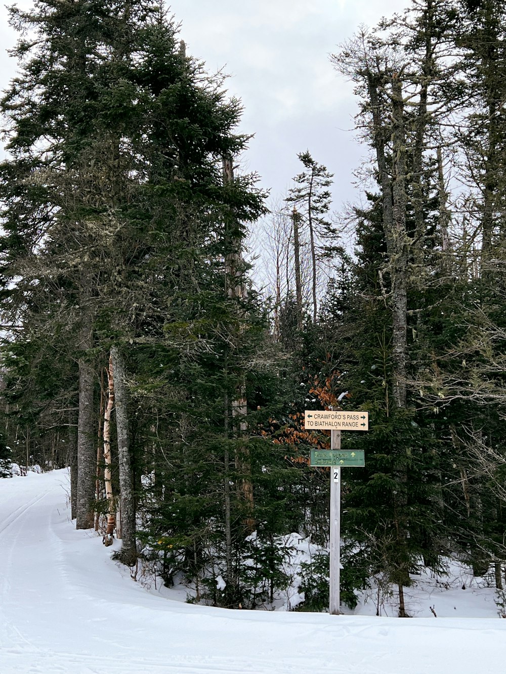 a sign on a pole in the middle of a snow covered forest