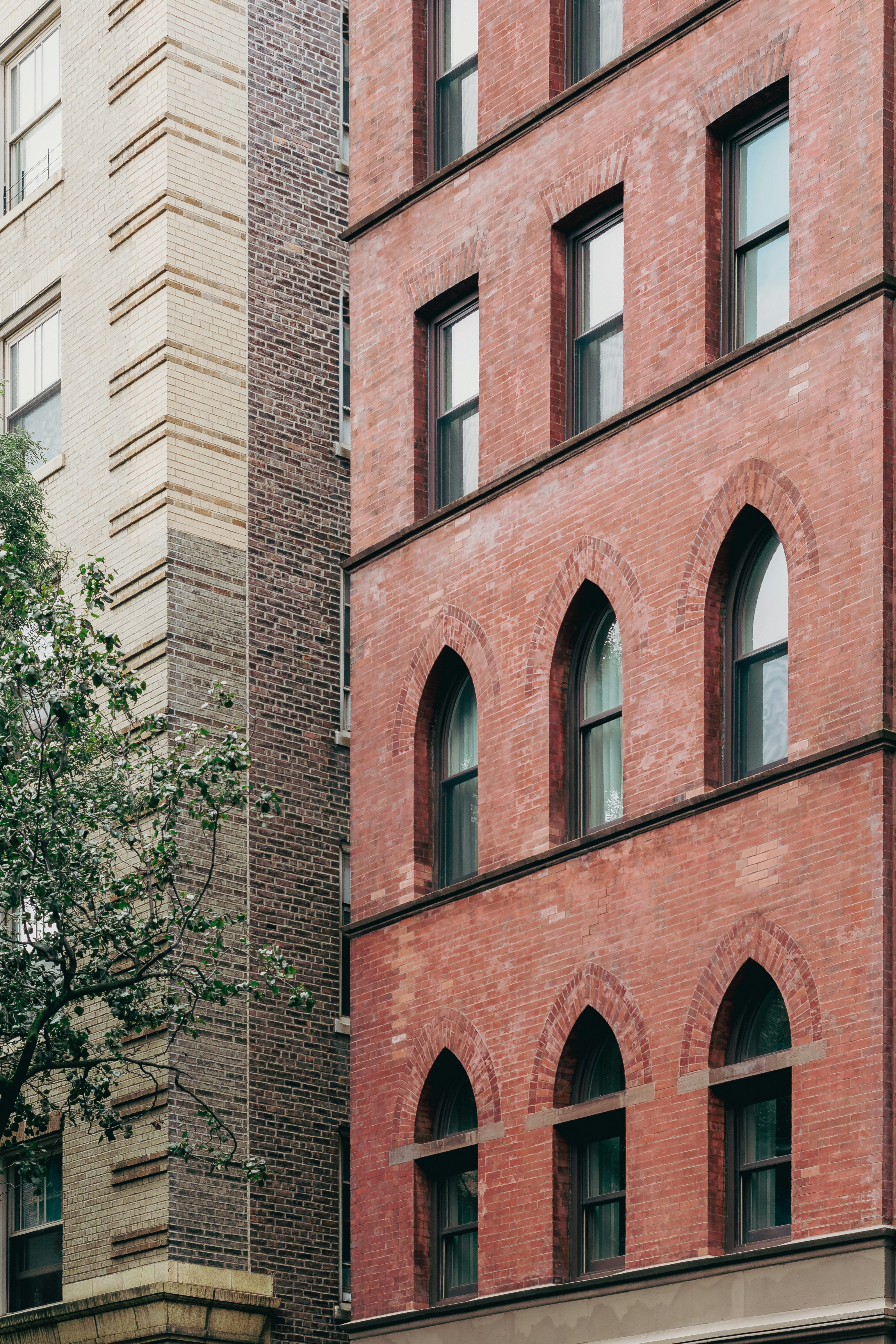 Un edificio alto de ladrillo con ventanas arqueadas junto a un árbol