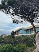 a large tree in front of a house