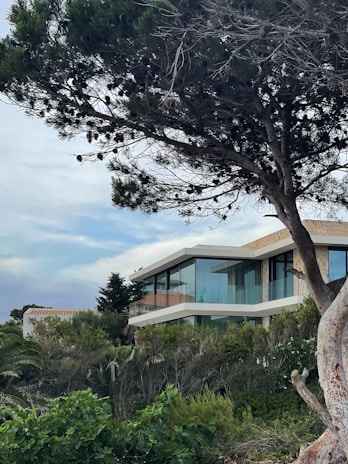 a large tree in front of a house