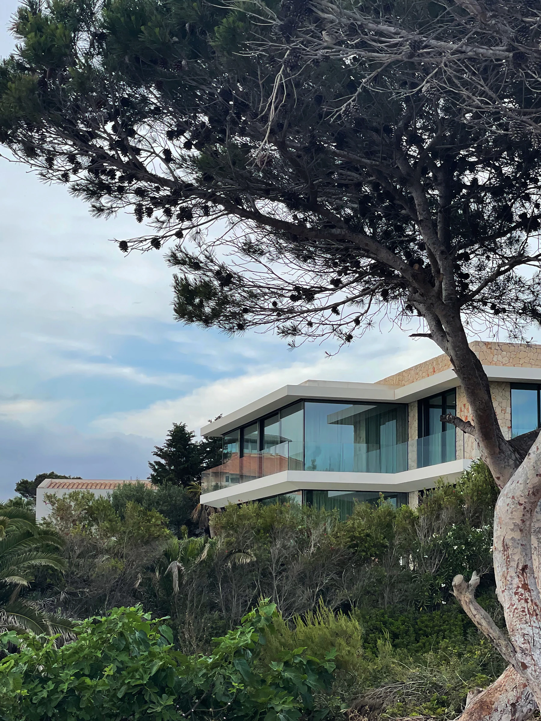 Contemporary villa beneath a Mediterranean pine