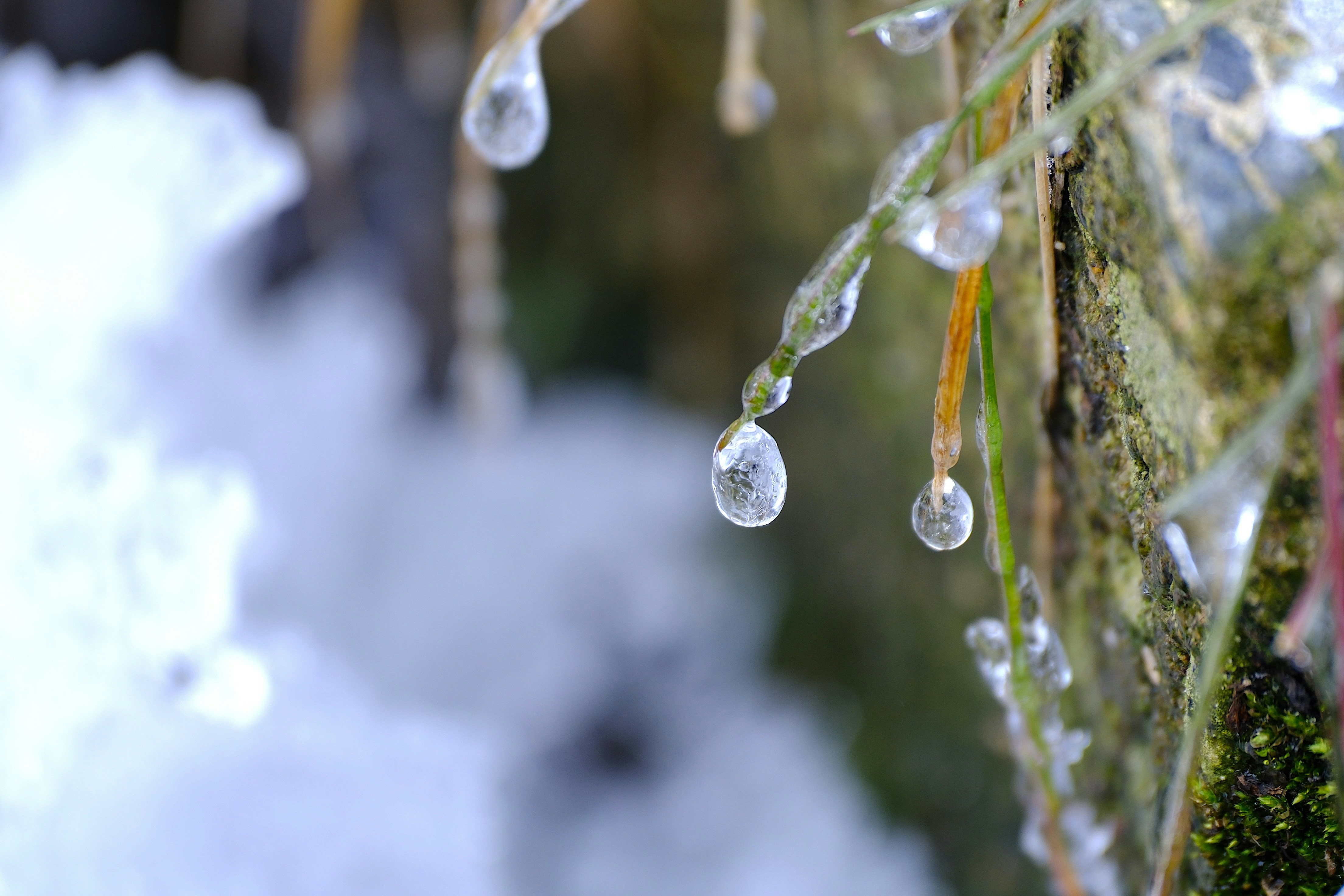 Photo by seiya_maeda