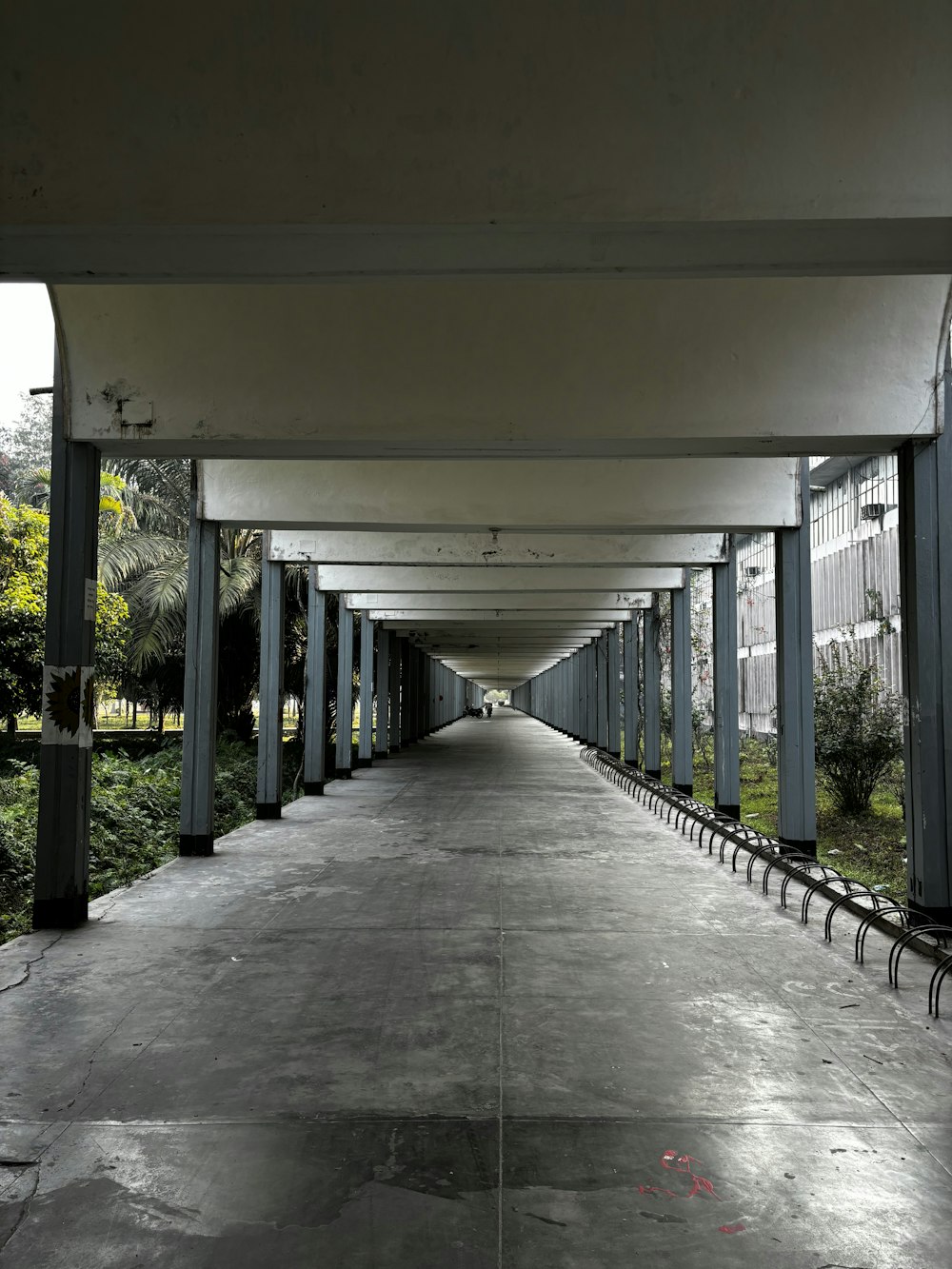 a long walkway lined with benches next to trees