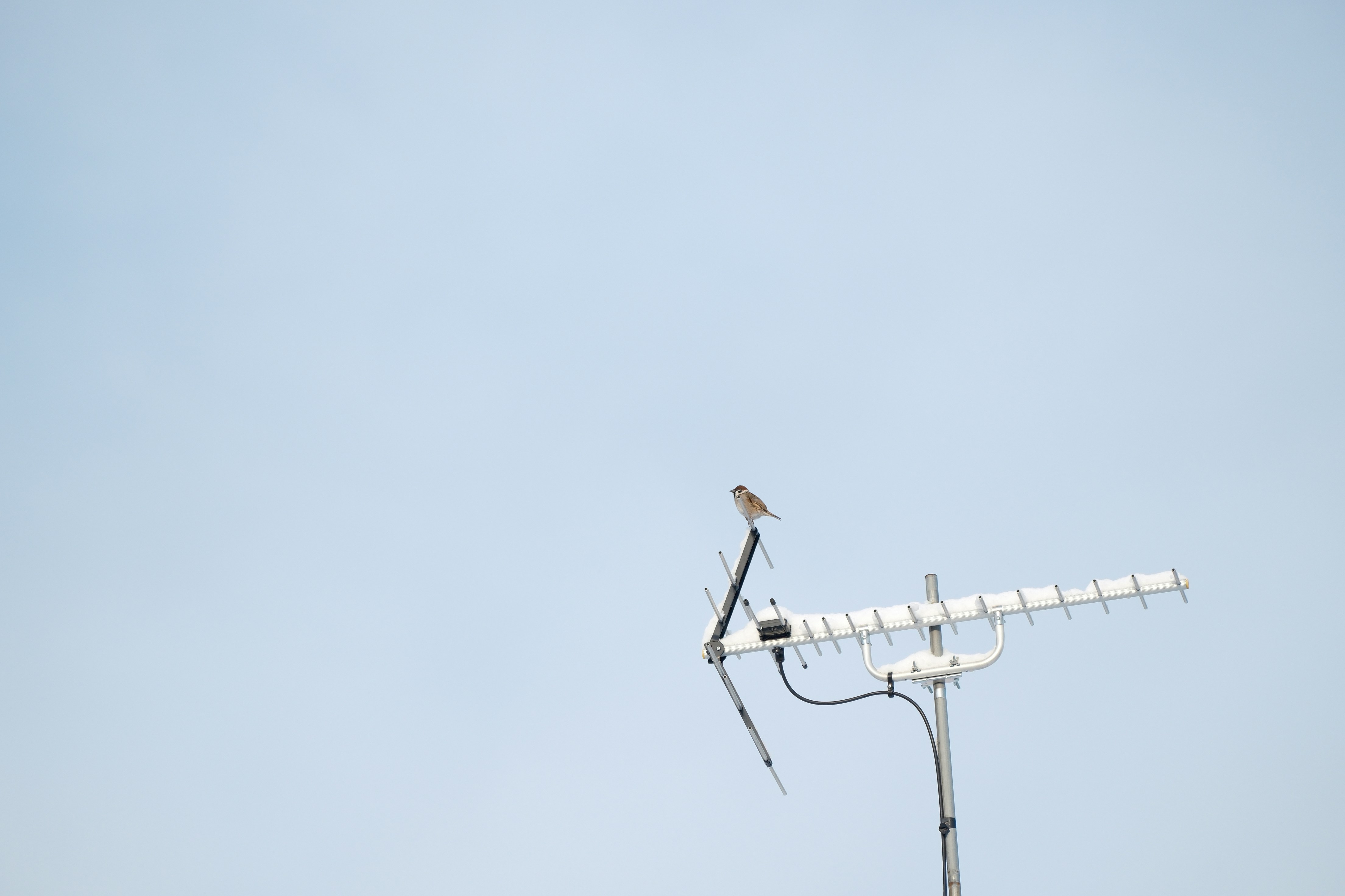 Photo by seiya_maeda