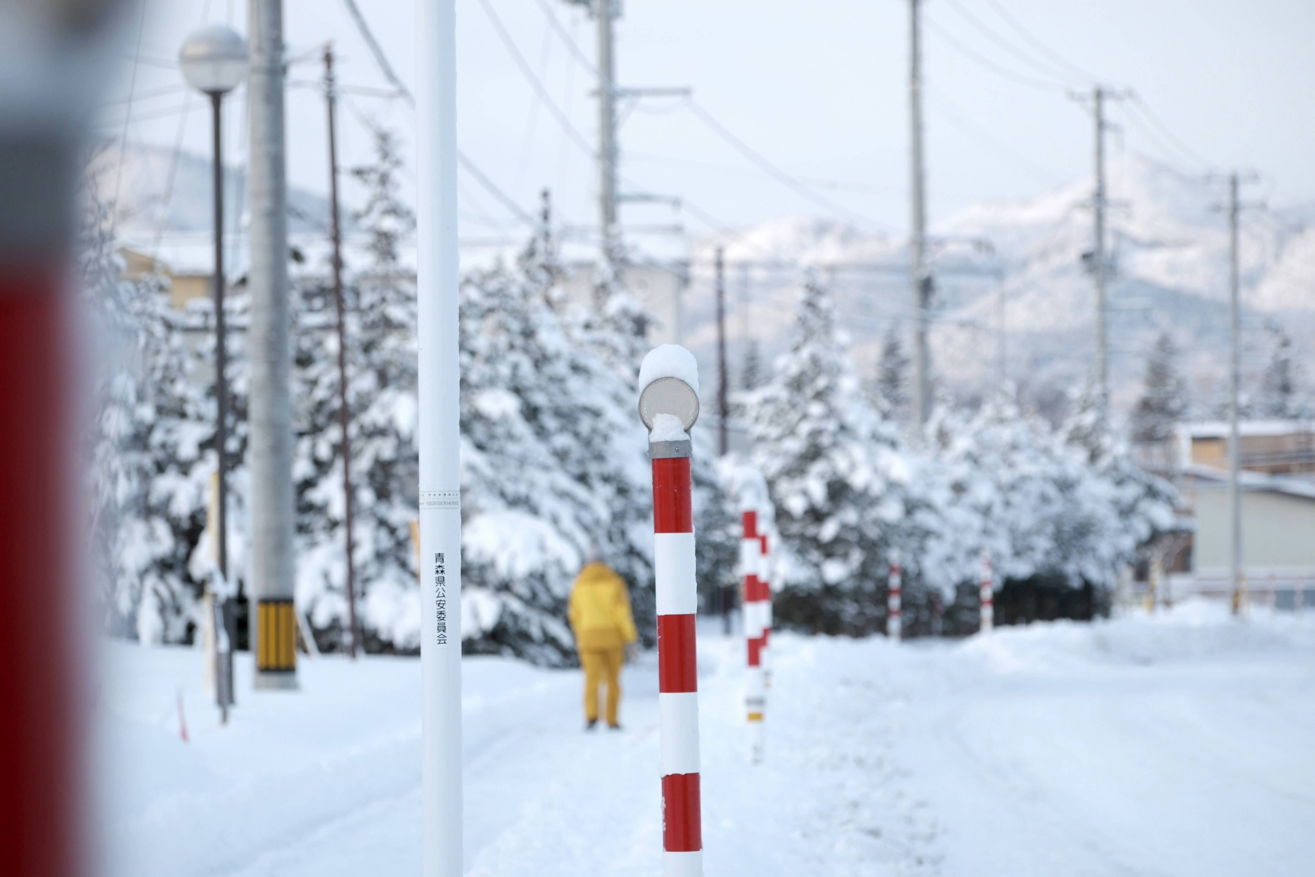 Photo by seiya_maeda