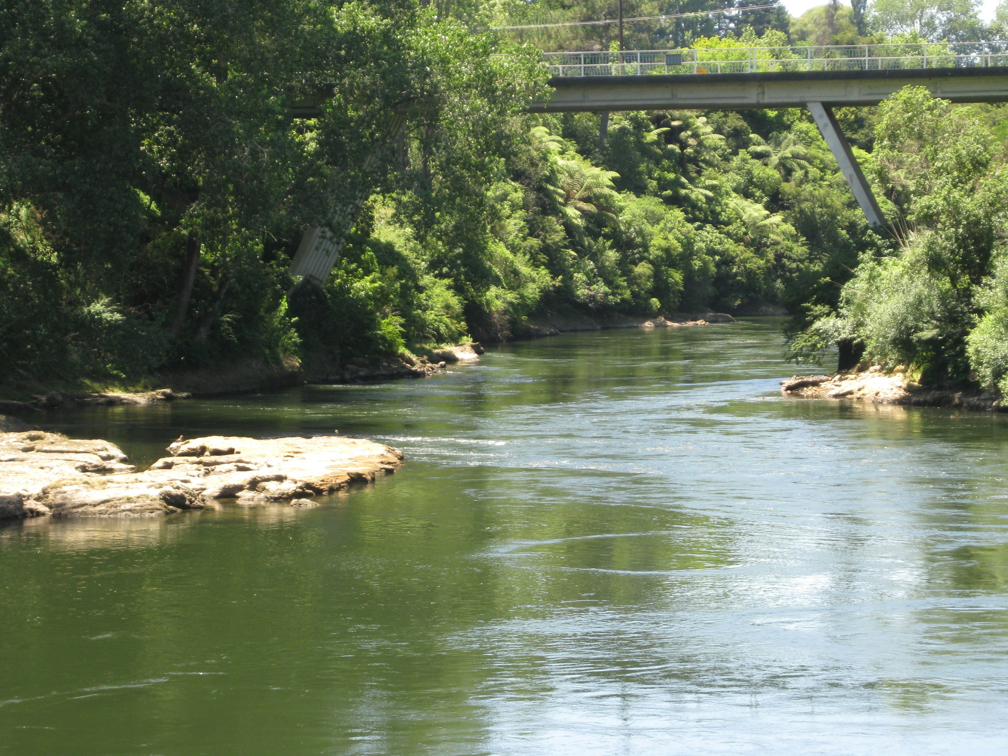 Photo by baulkhamhills1000